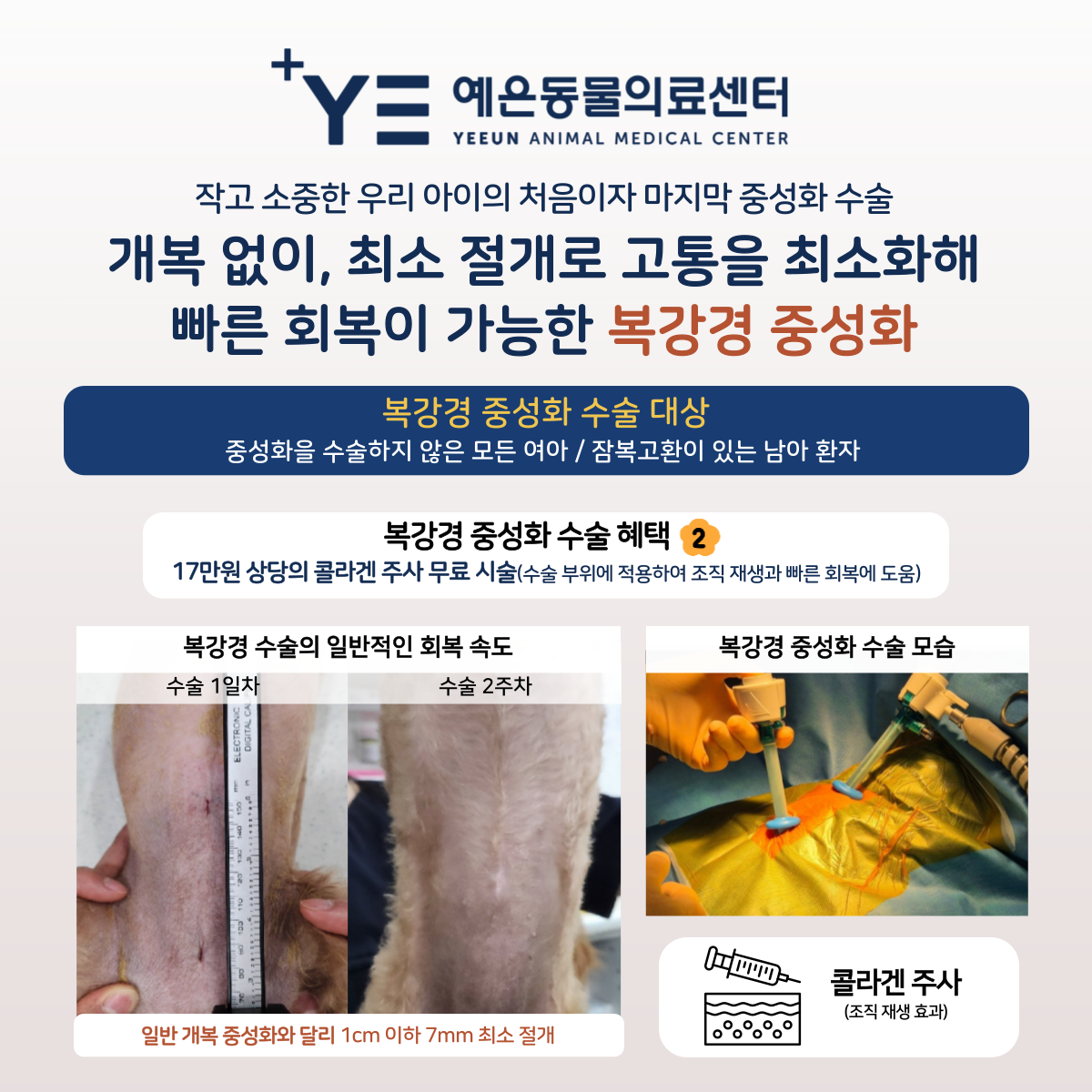 예은동물의료센터 대표 이미지