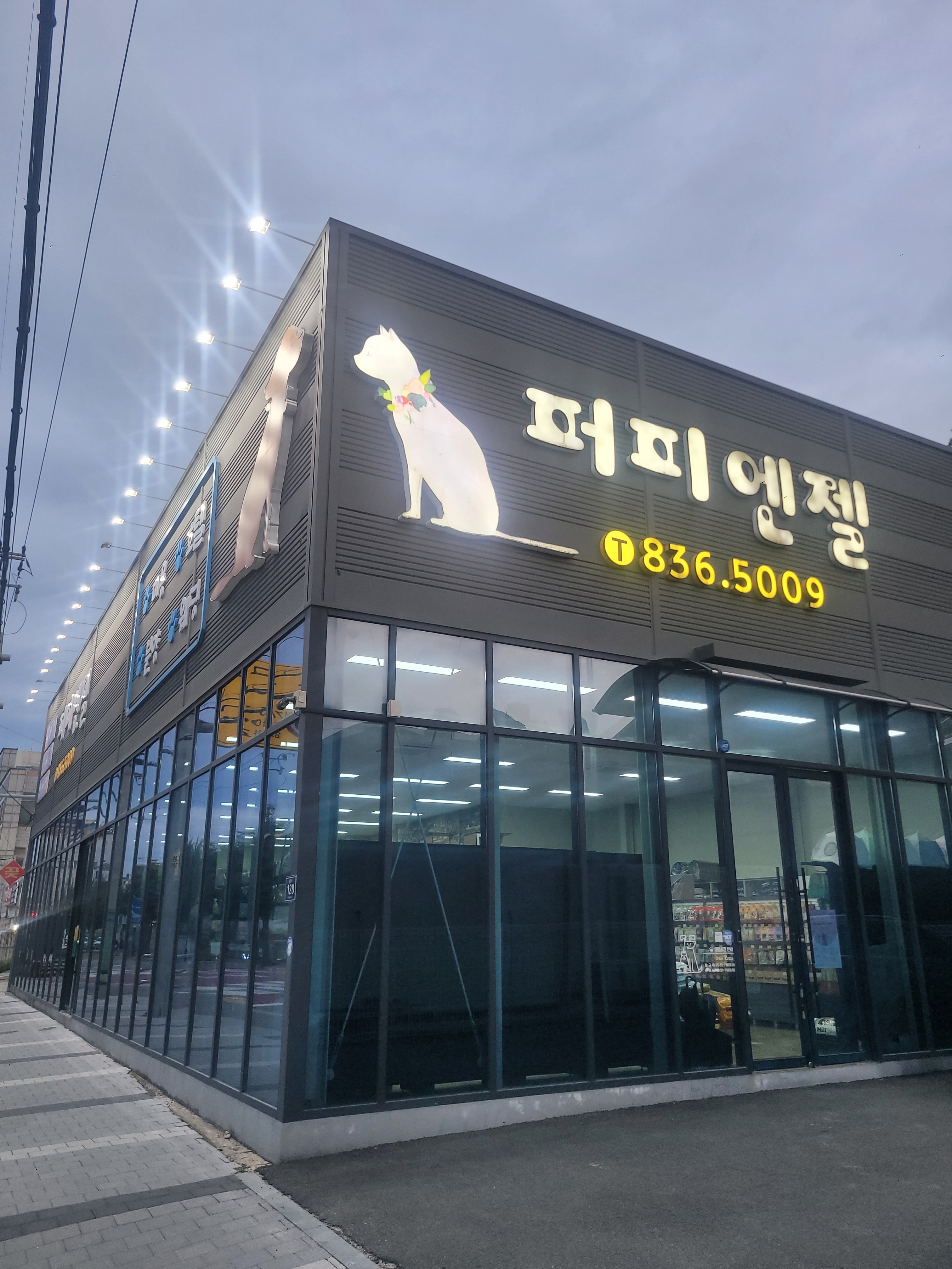 퍼피엔젤