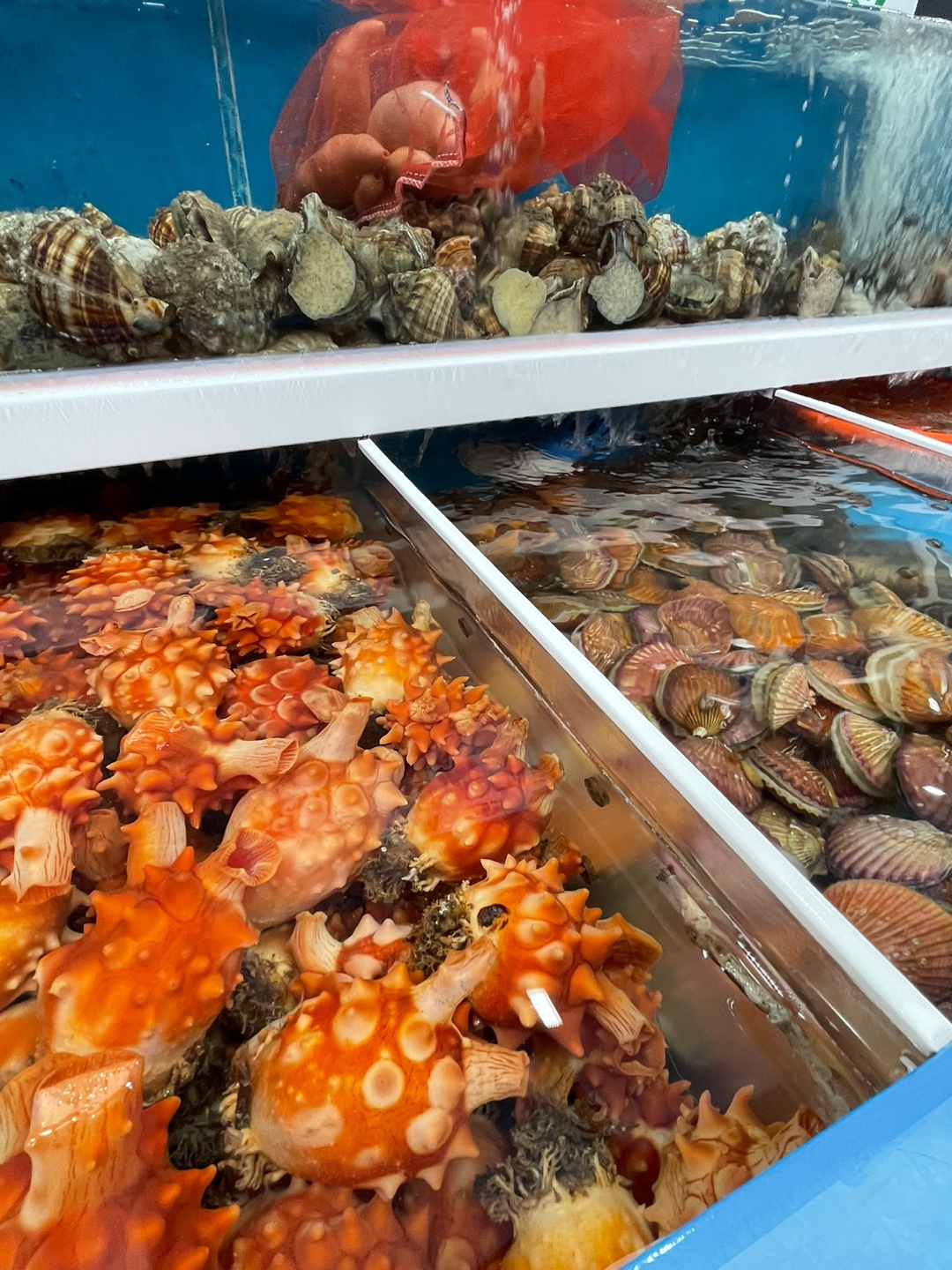 남해청정수산