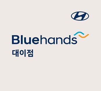 블루핸즈 대이점
