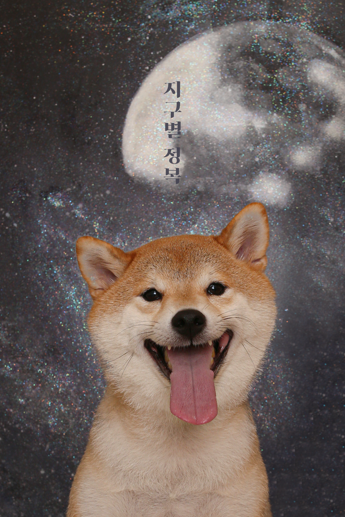 안녕댕댕쓰 대표 이미지