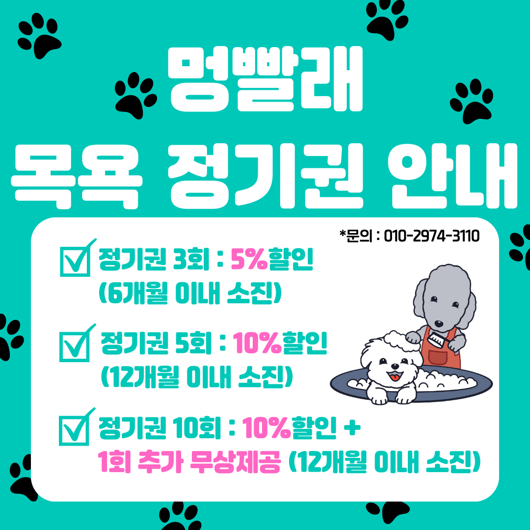 멍빨래 대표 이미지
