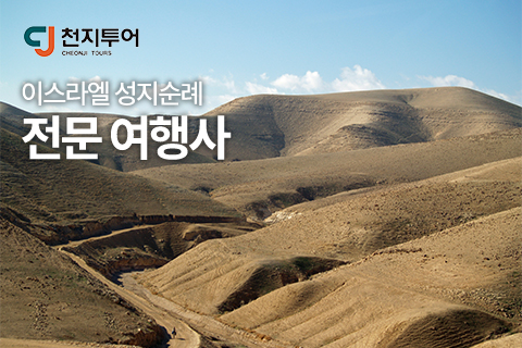 천지항공여행사