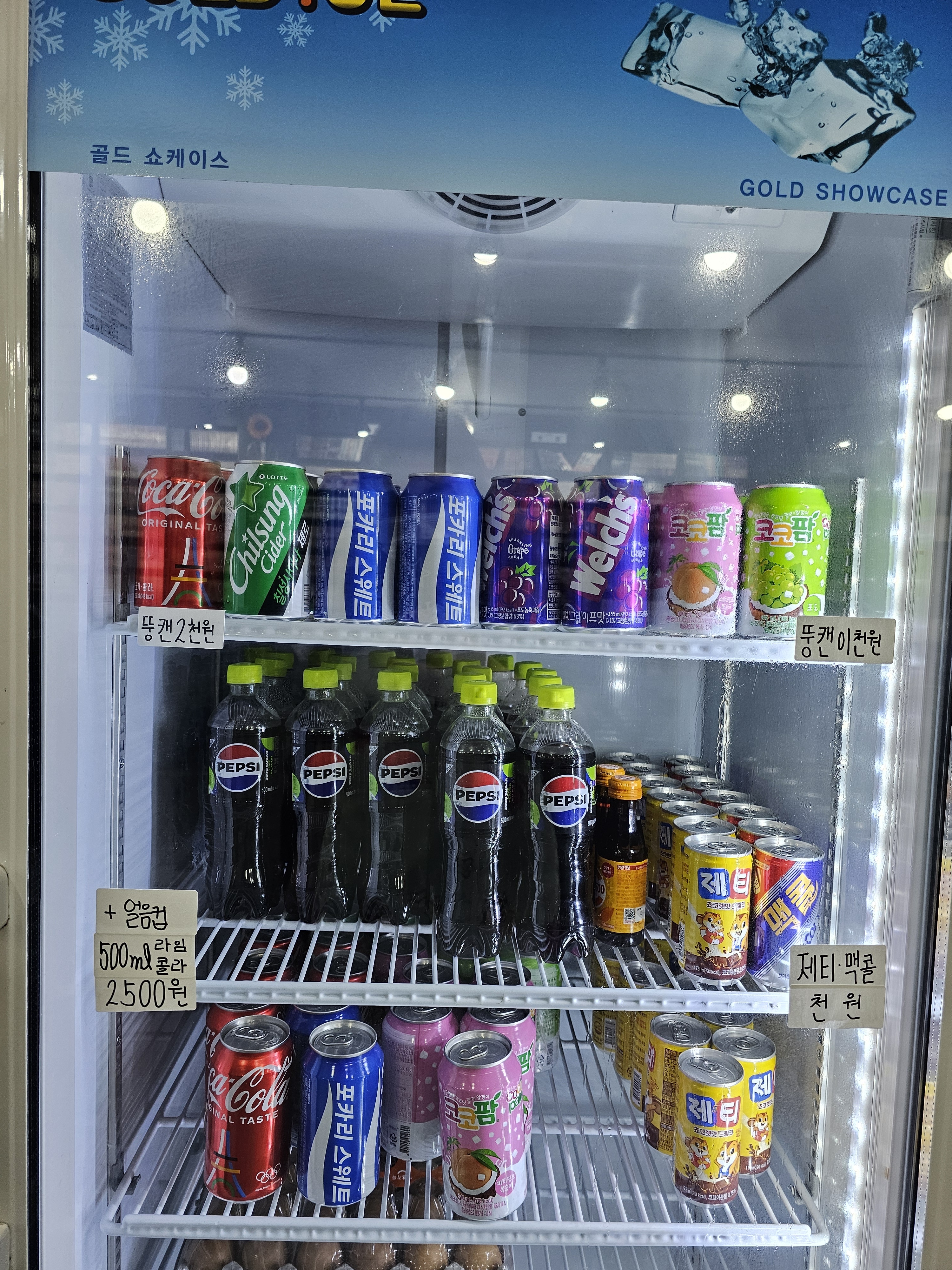 카툰명가 반려동물 동반 애견카페