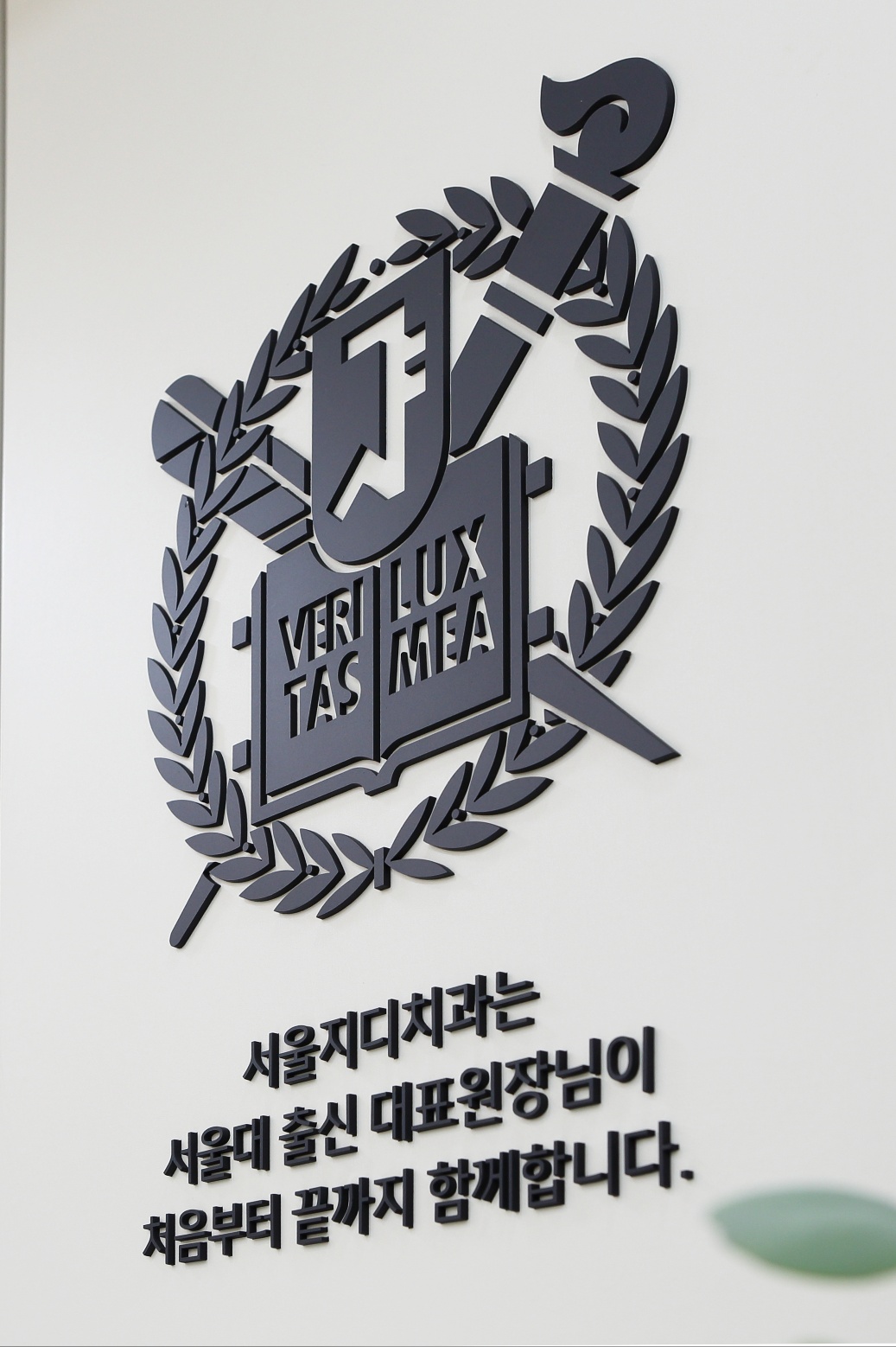 서울지디치과의원 대표 이미지