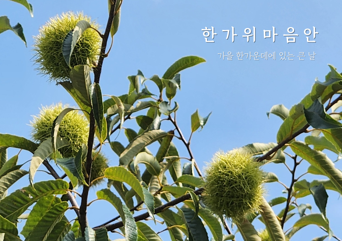 마음안 심리상담소