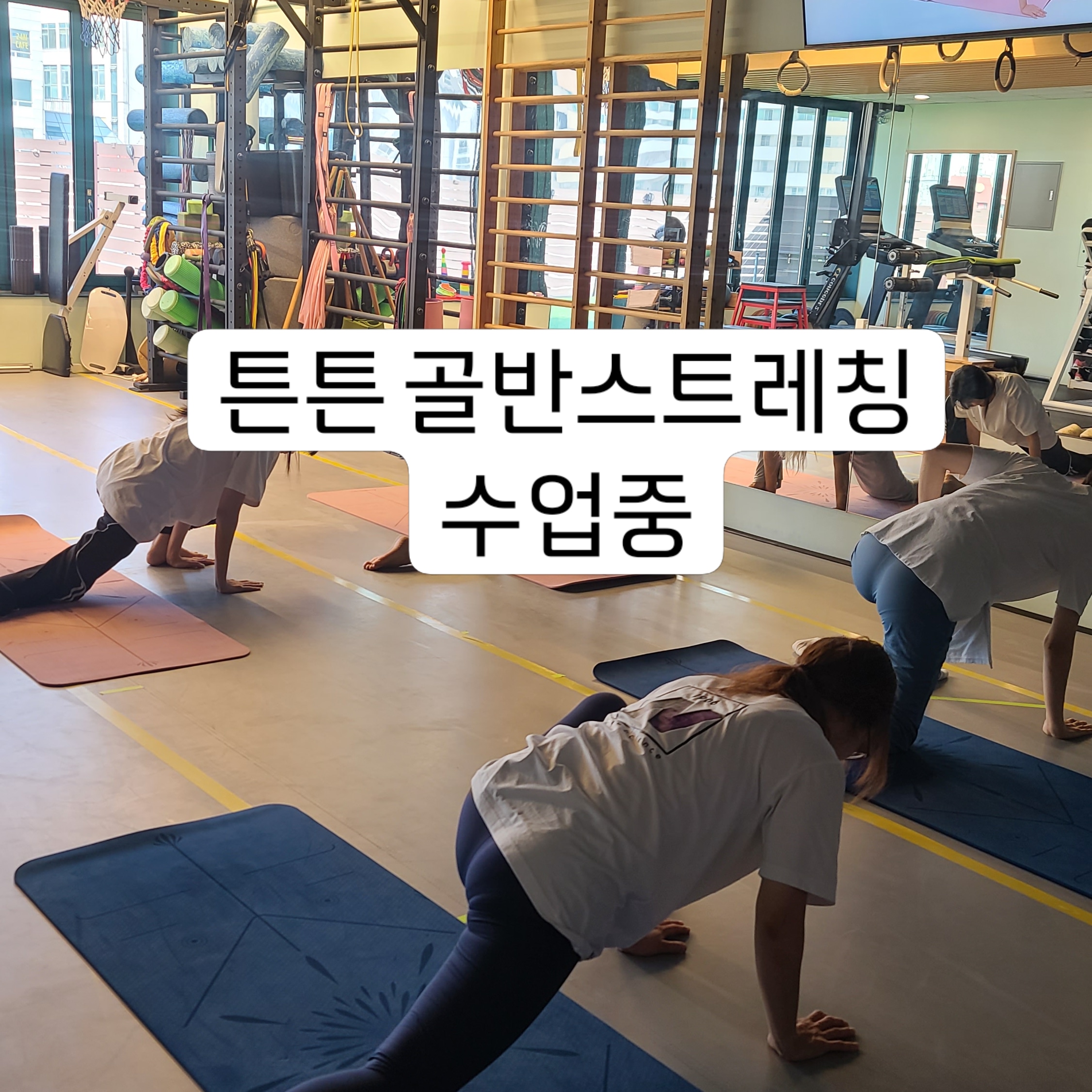 튼튼운동센터