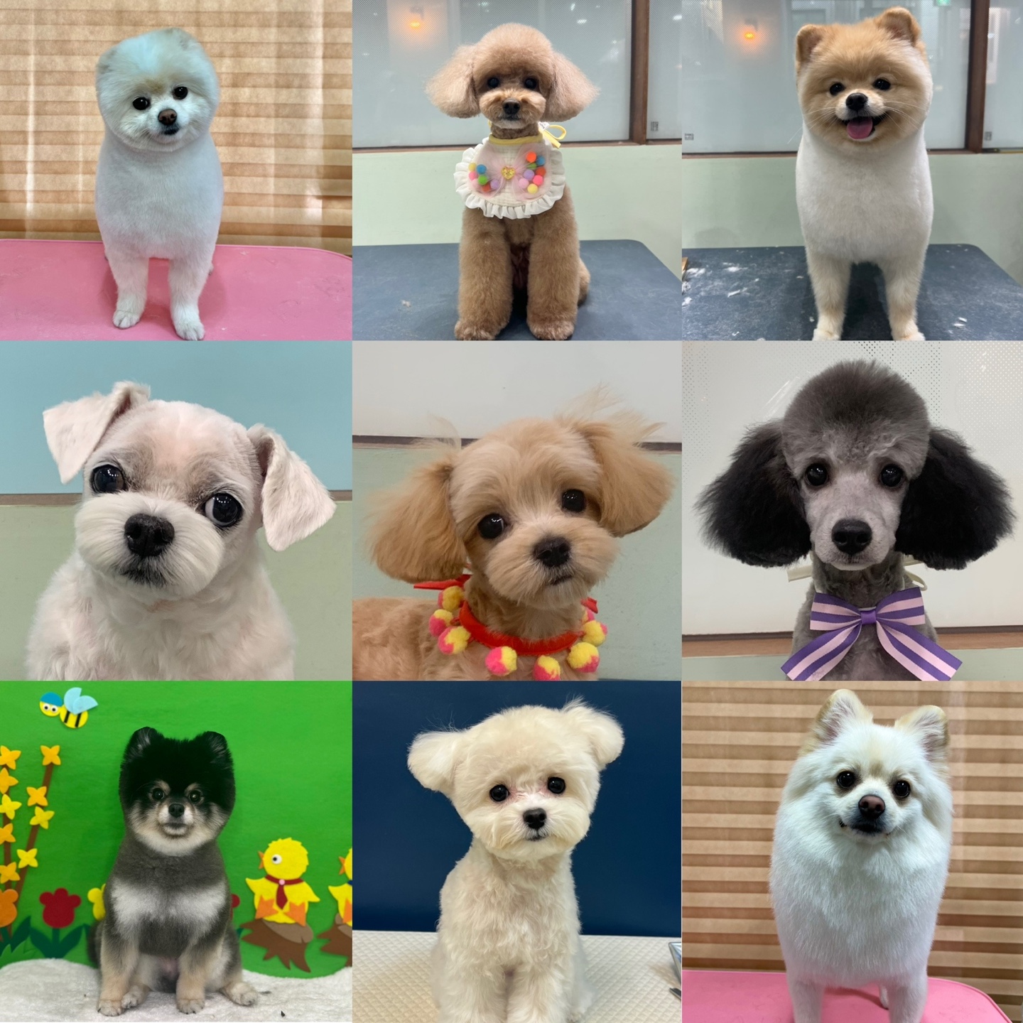 하이해피 대표 이미지