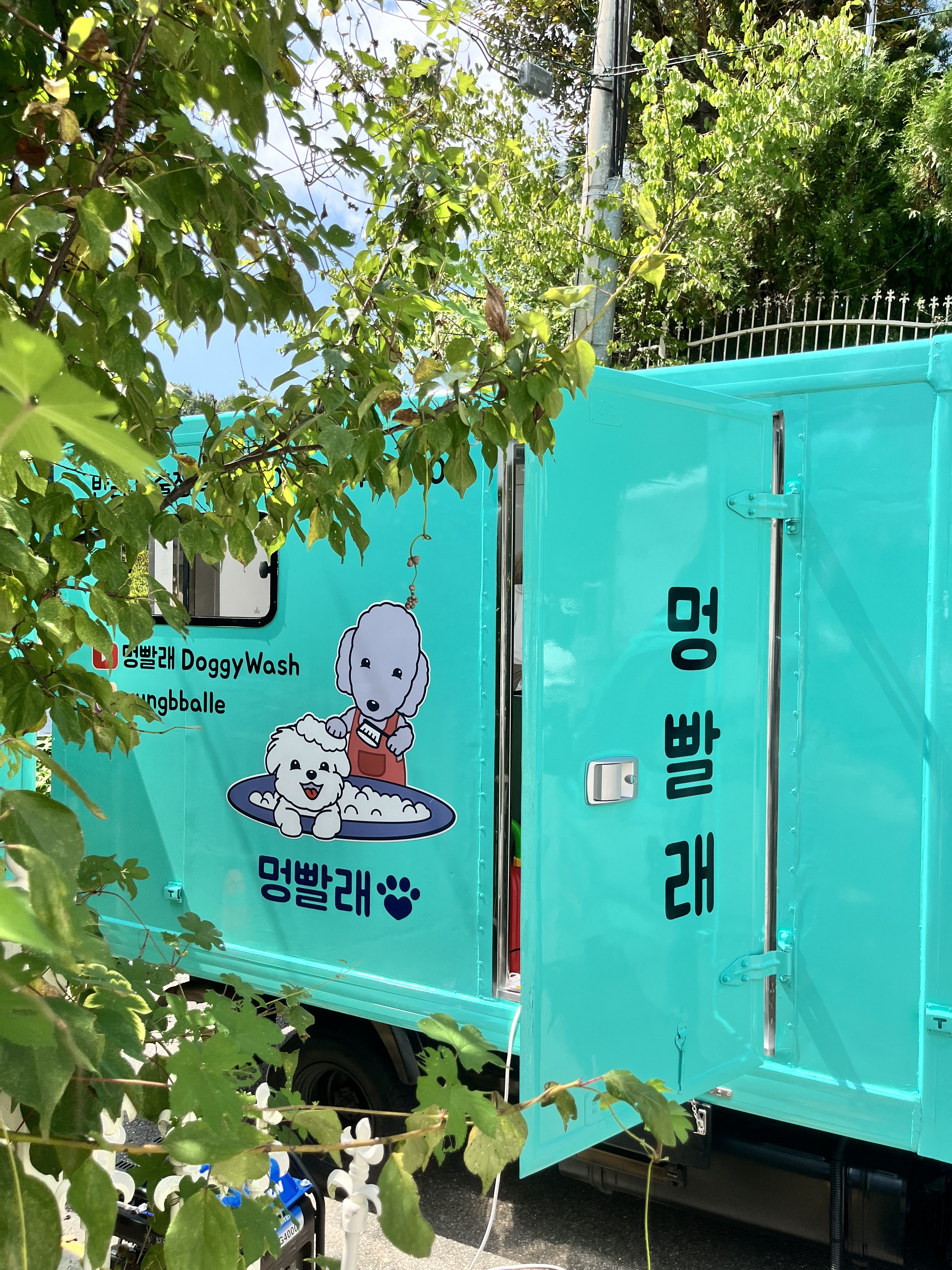 멍빨래 대표 이미지