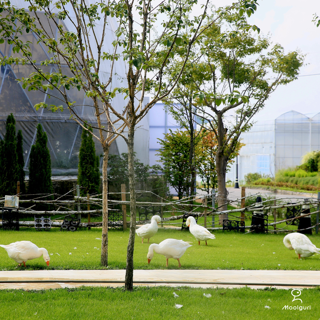 물구리빵집 대표 이미지