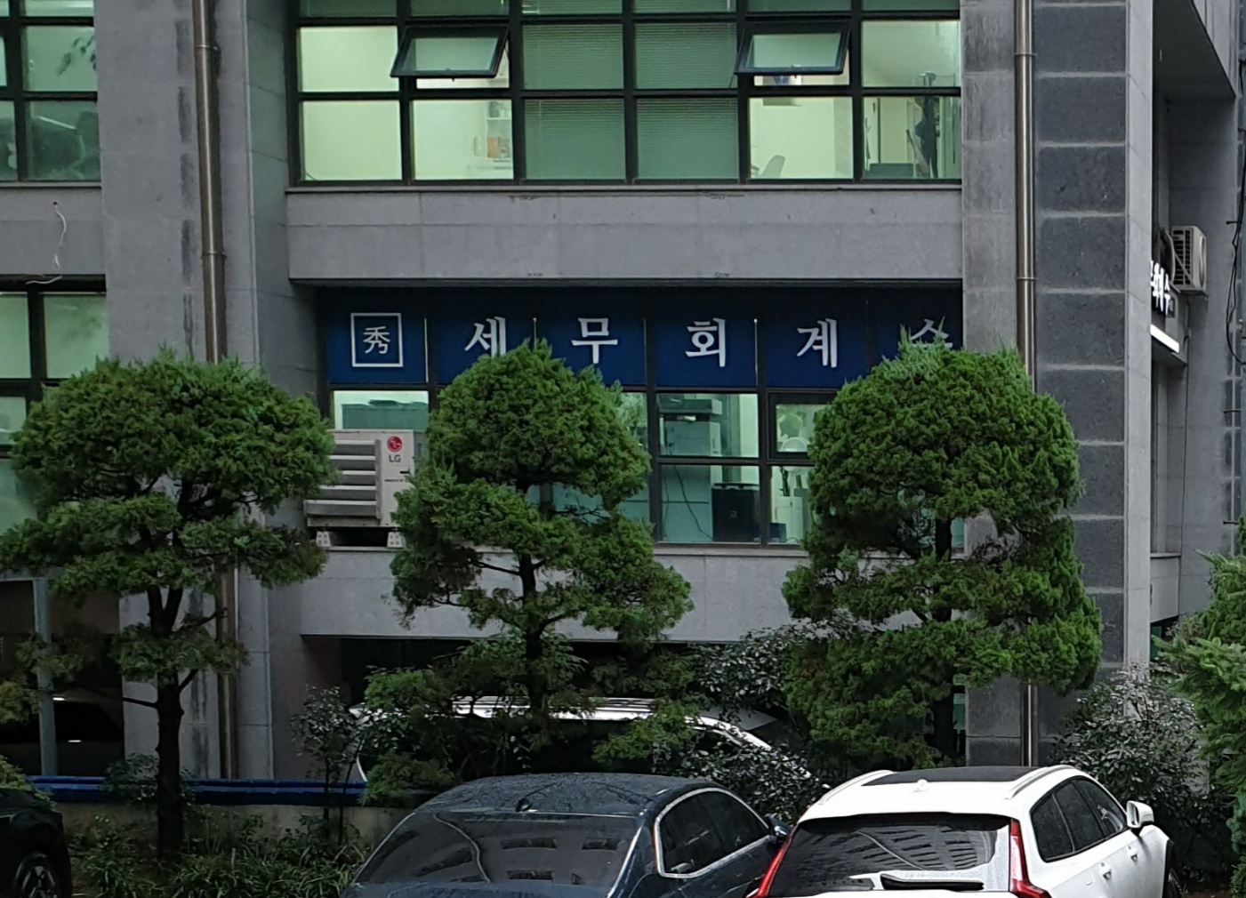 세무회계 수 조연수 세무사 이미지