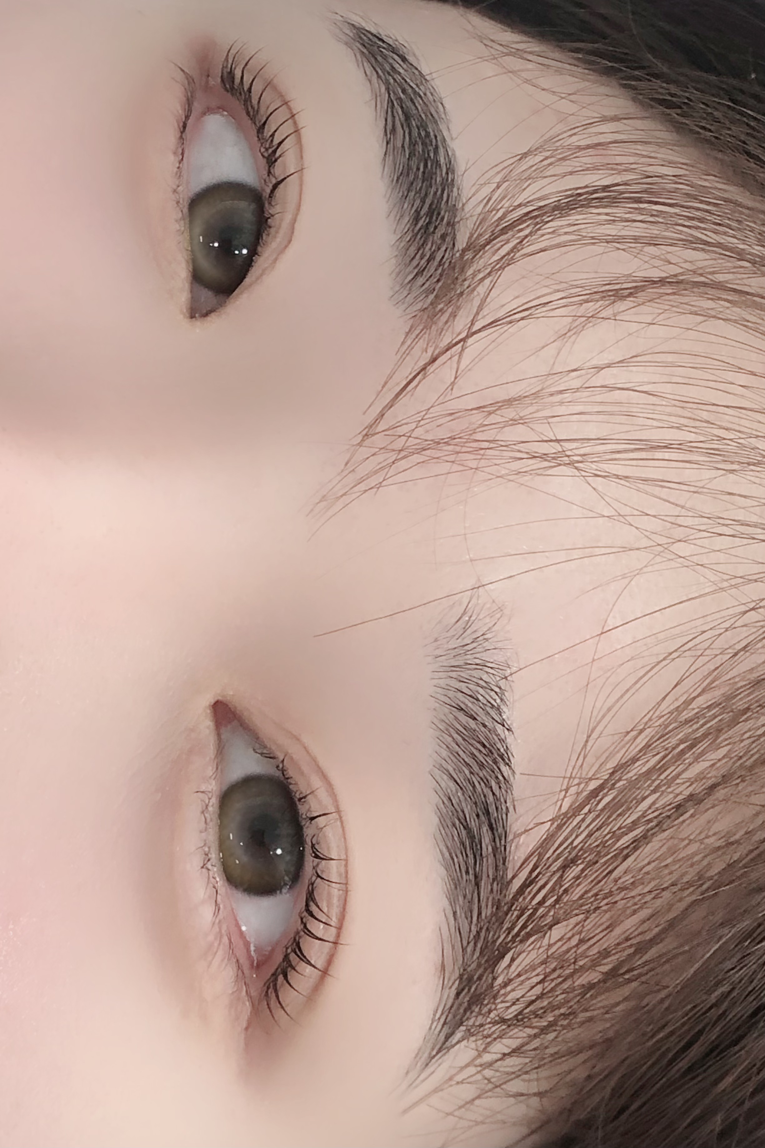 바이비