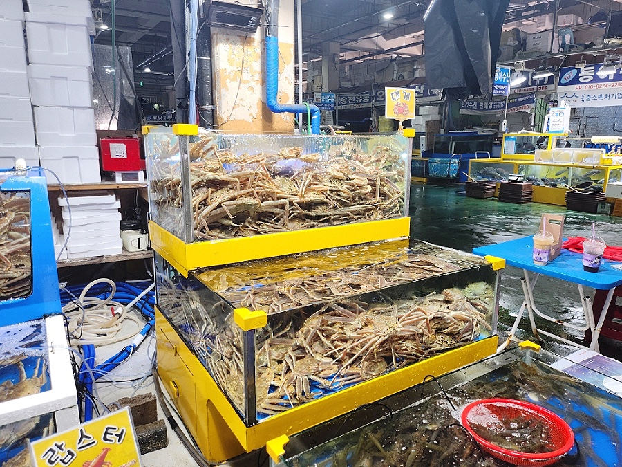 바이킹수산