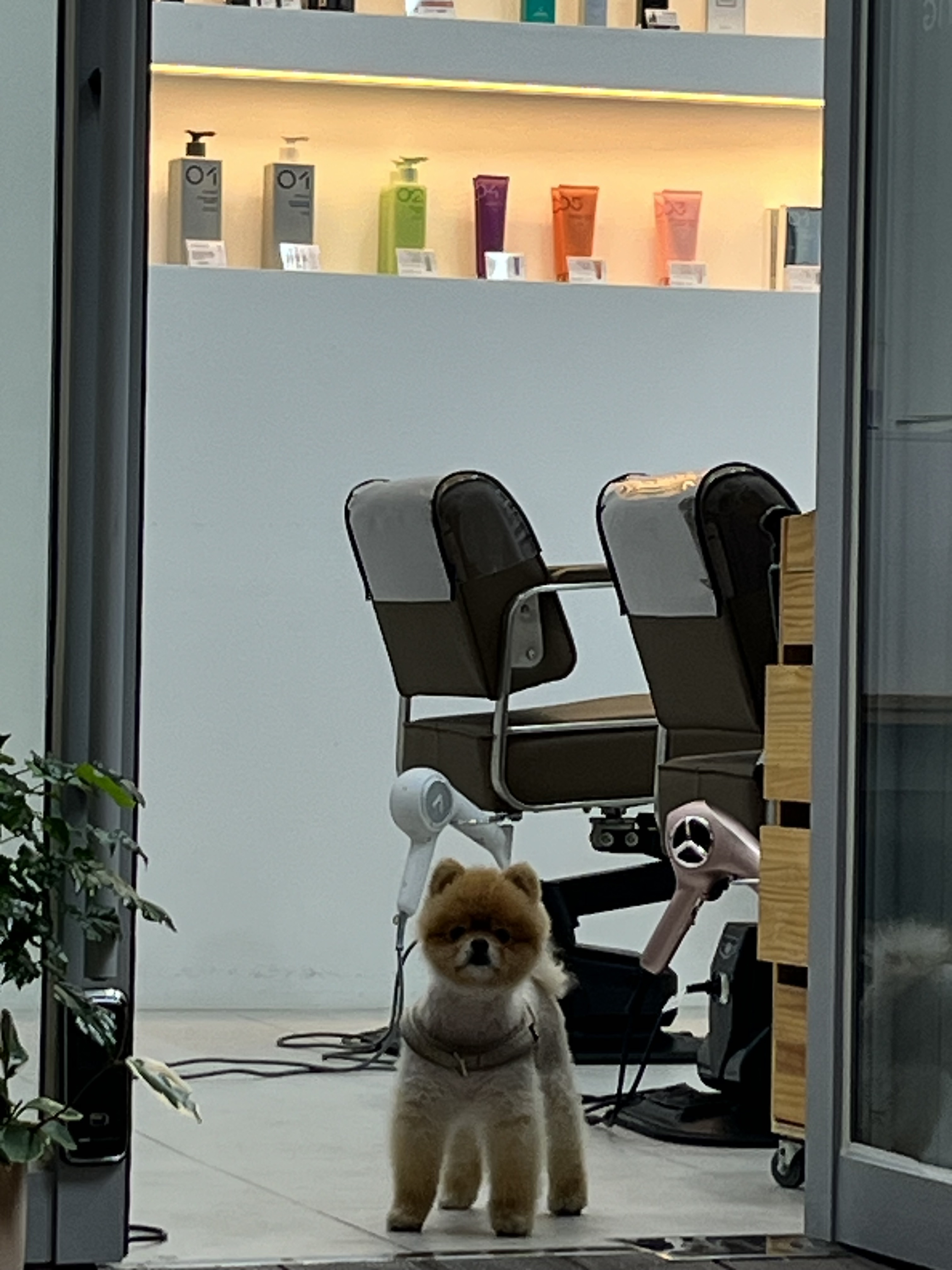 굿모닝헤어