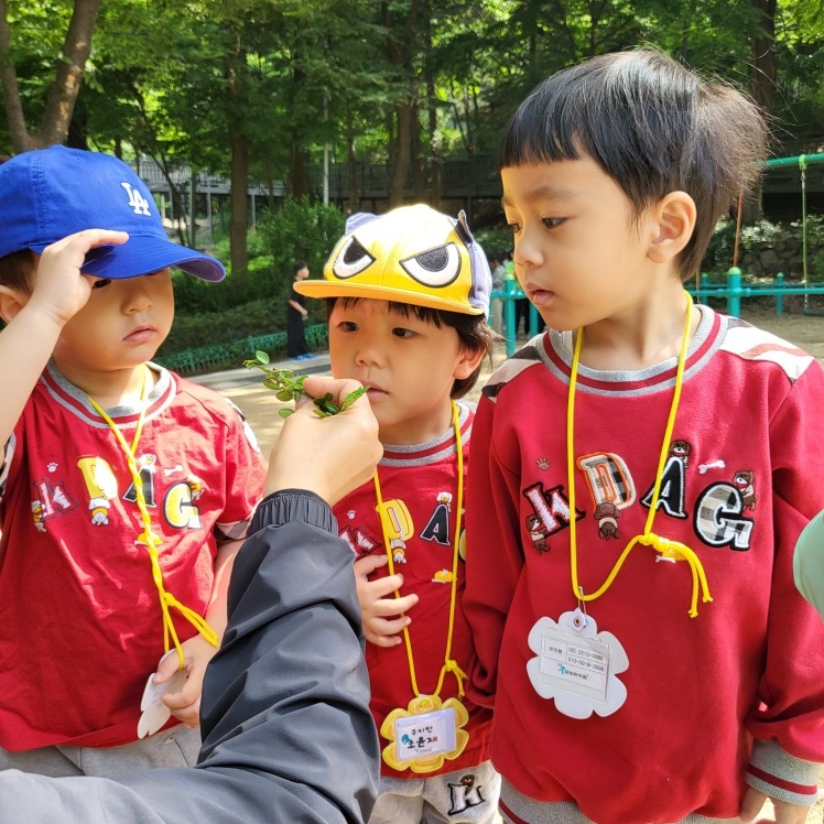 삼성유치원
