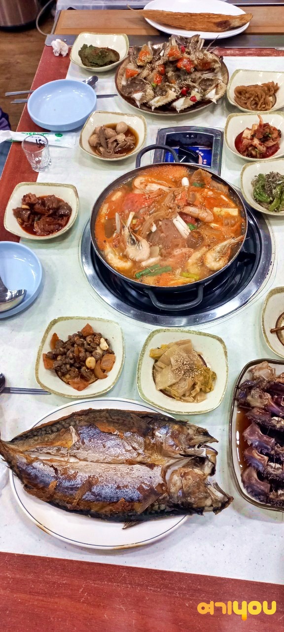 고향식당 반려동물 동반 애견카페