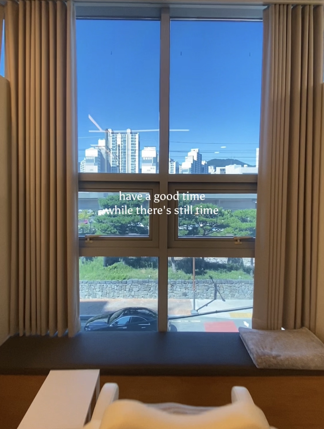 탈모케어존 부산동래점