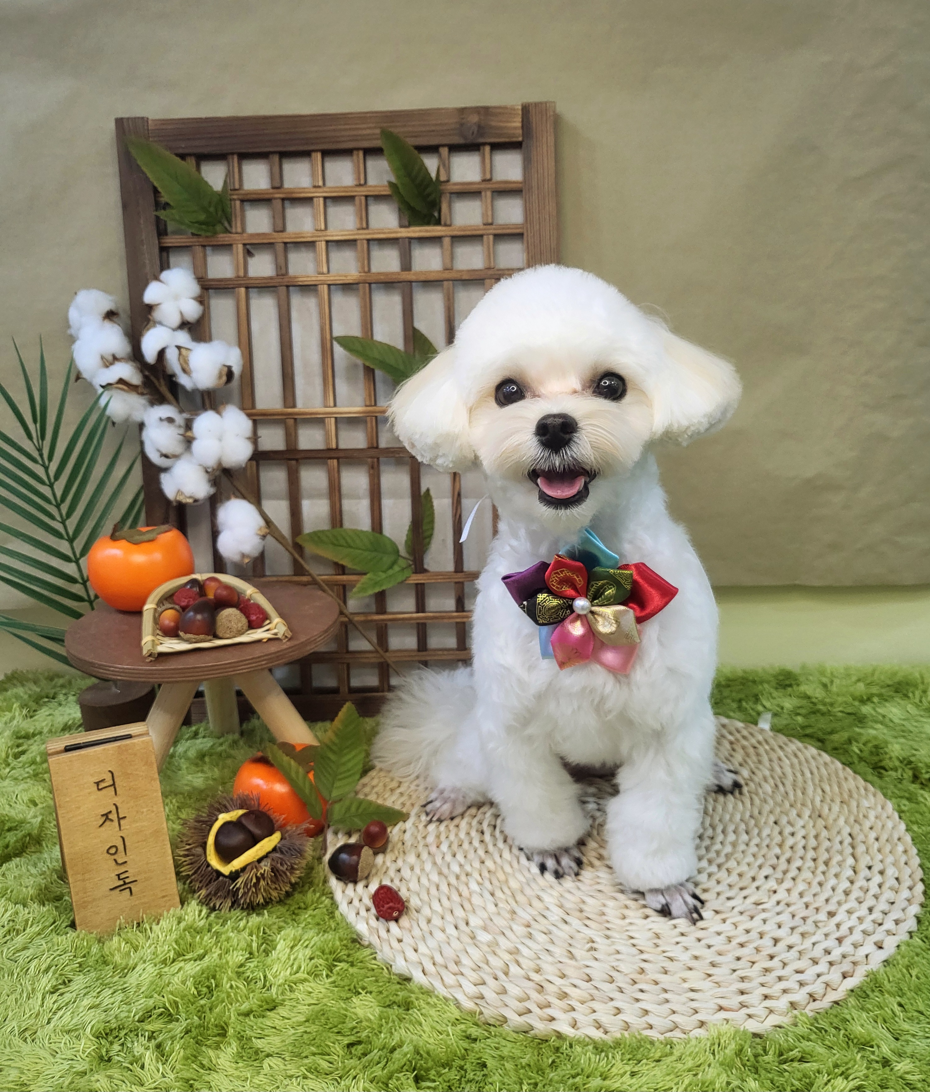 디자인독 대표 이미지