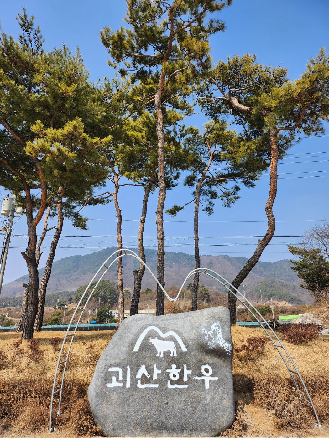 괴산한우타운 대표 이미지