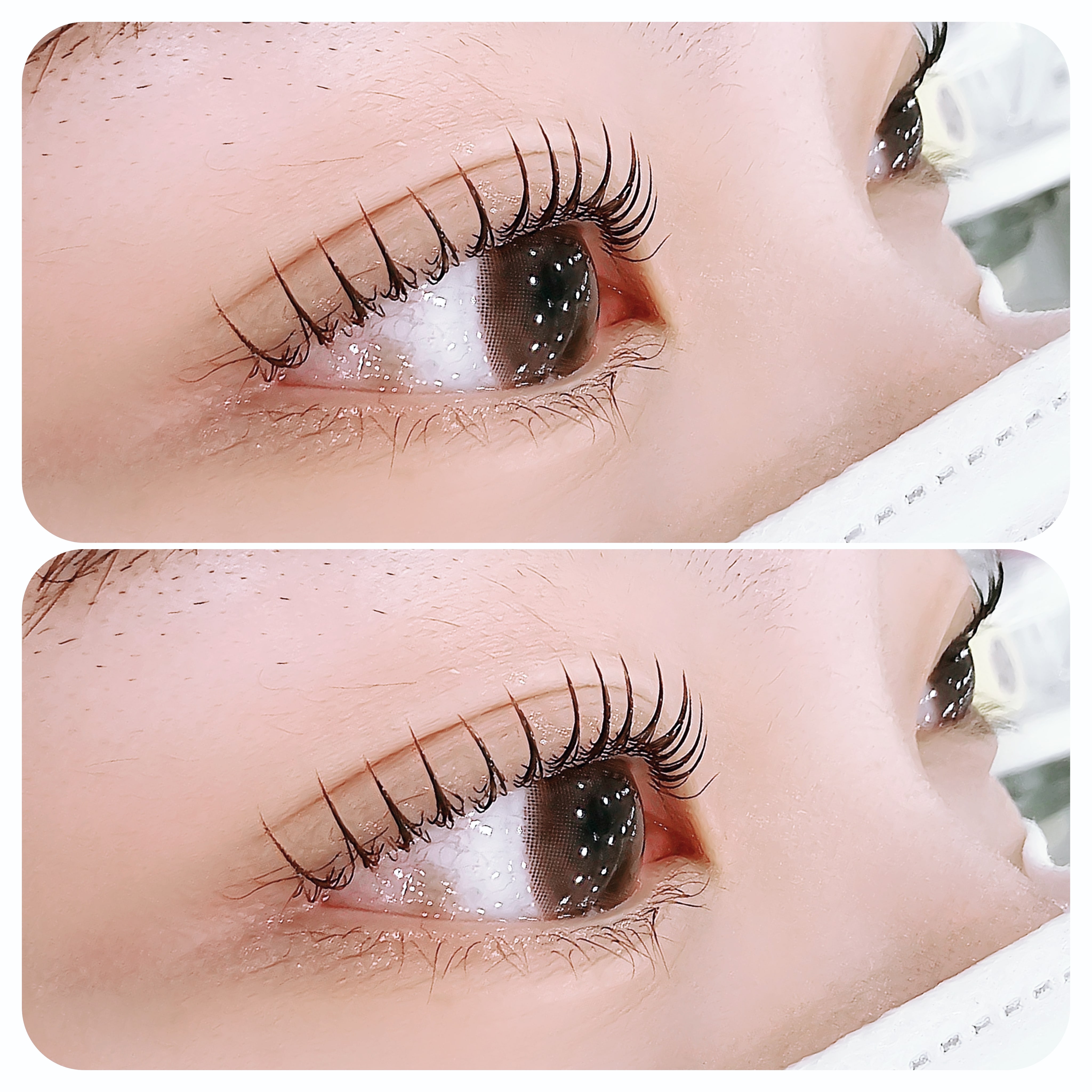 더피어나다 대표 이미지