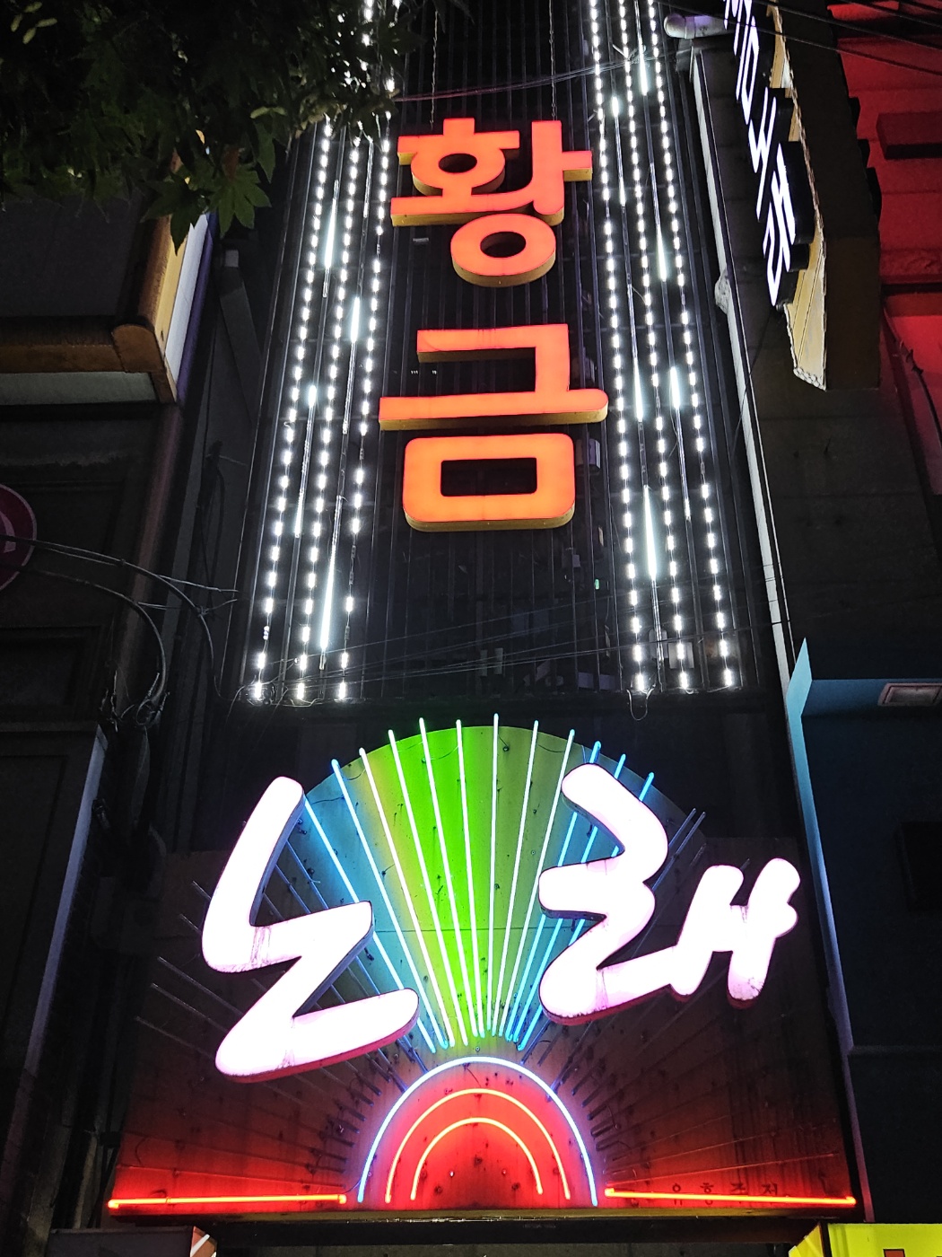 황금노래