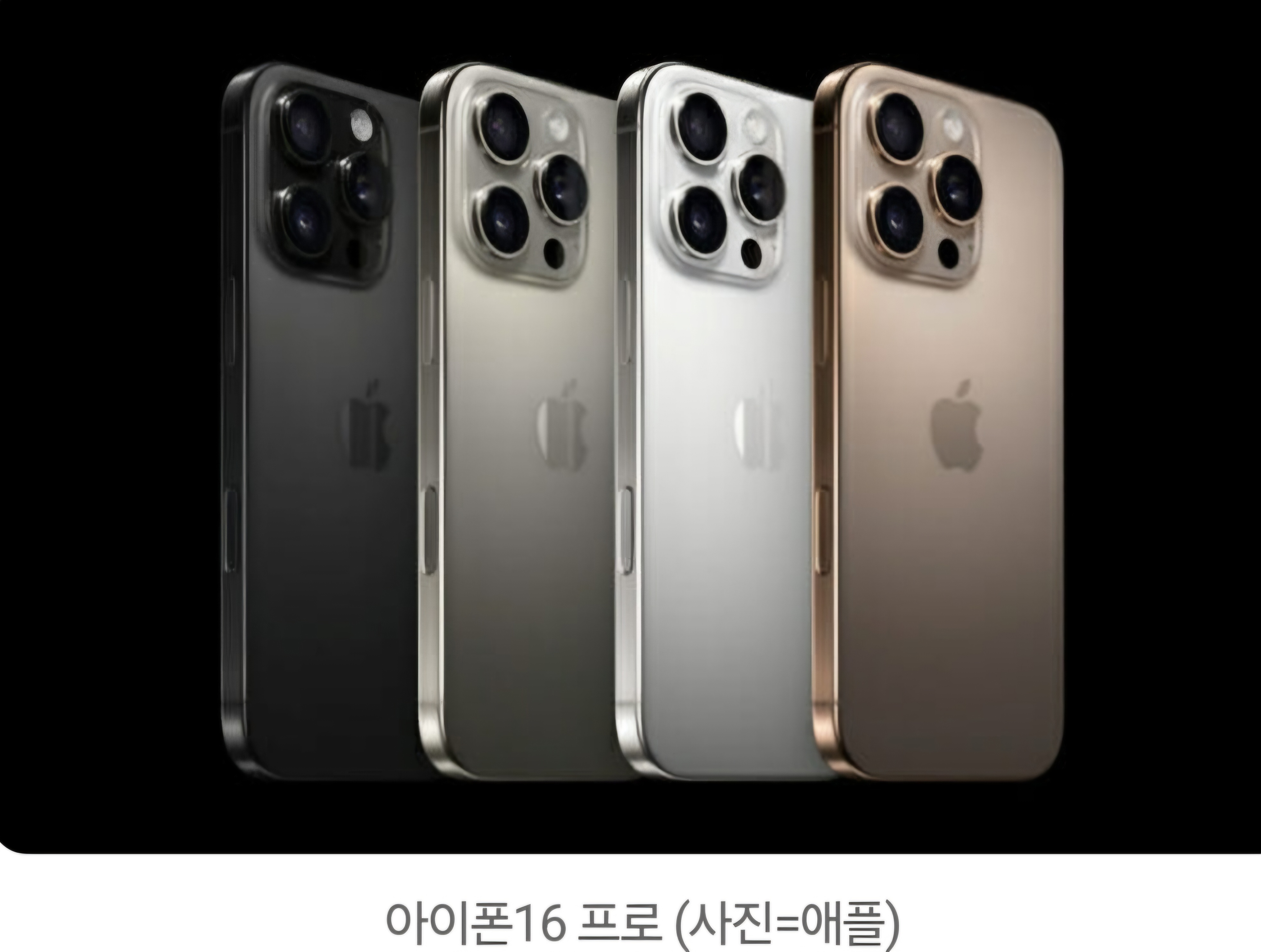 KT 육영통신화원1호점
