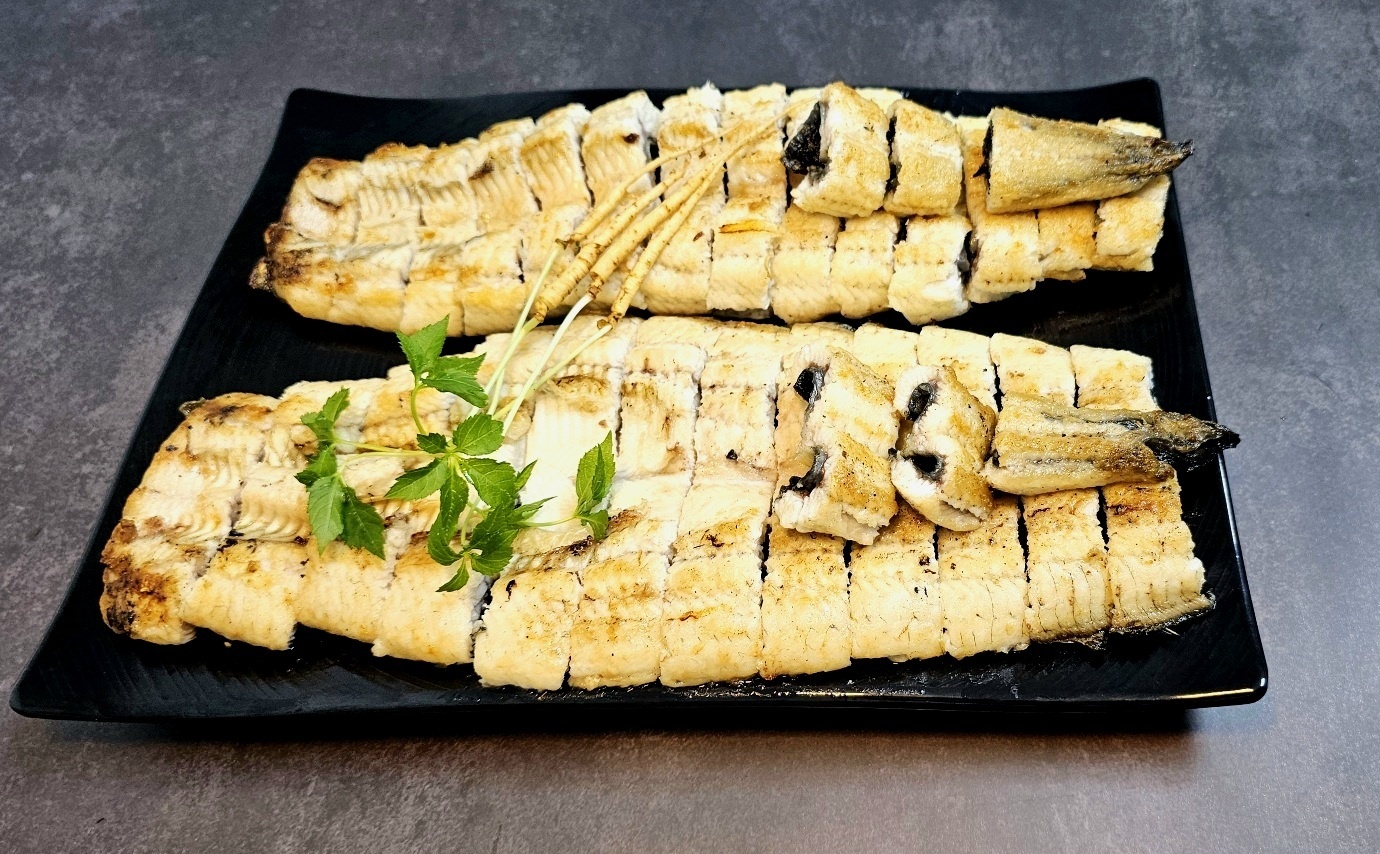송전천장어
