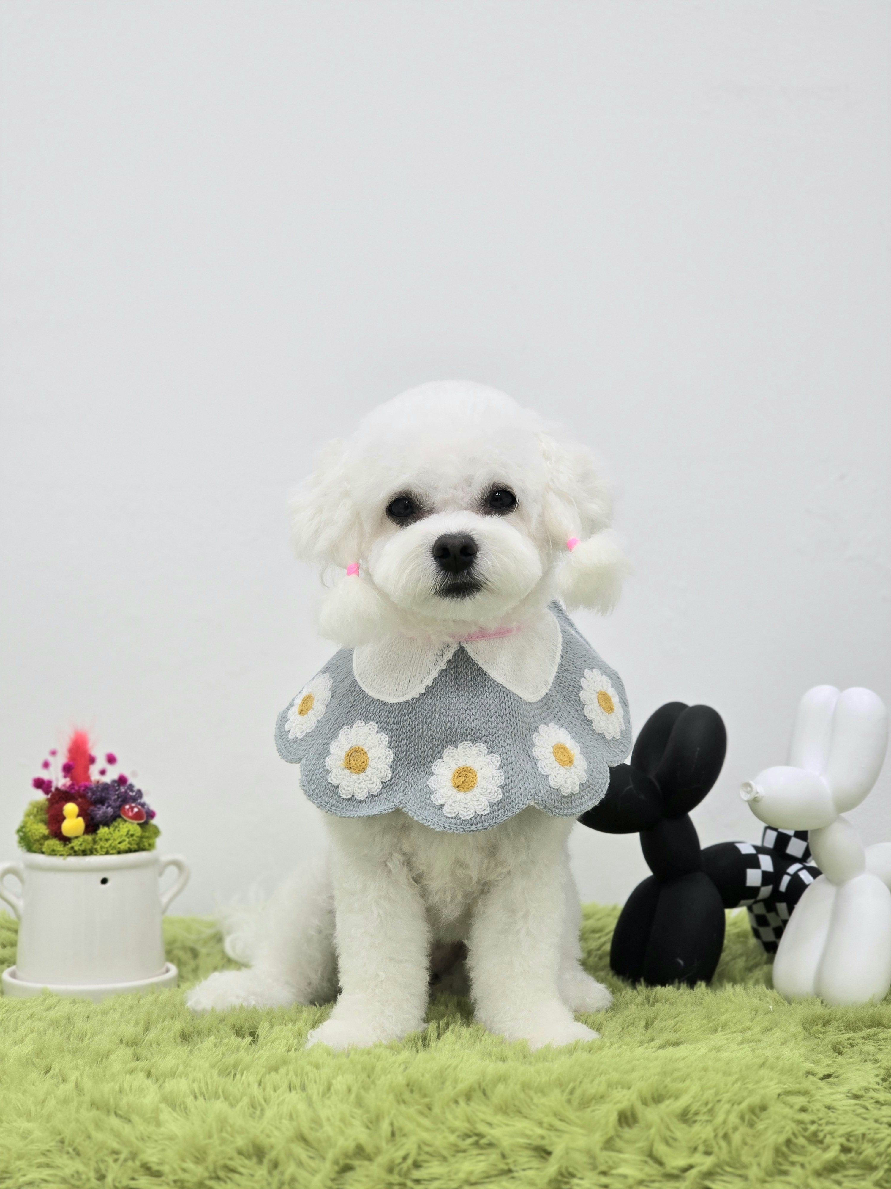 털친구