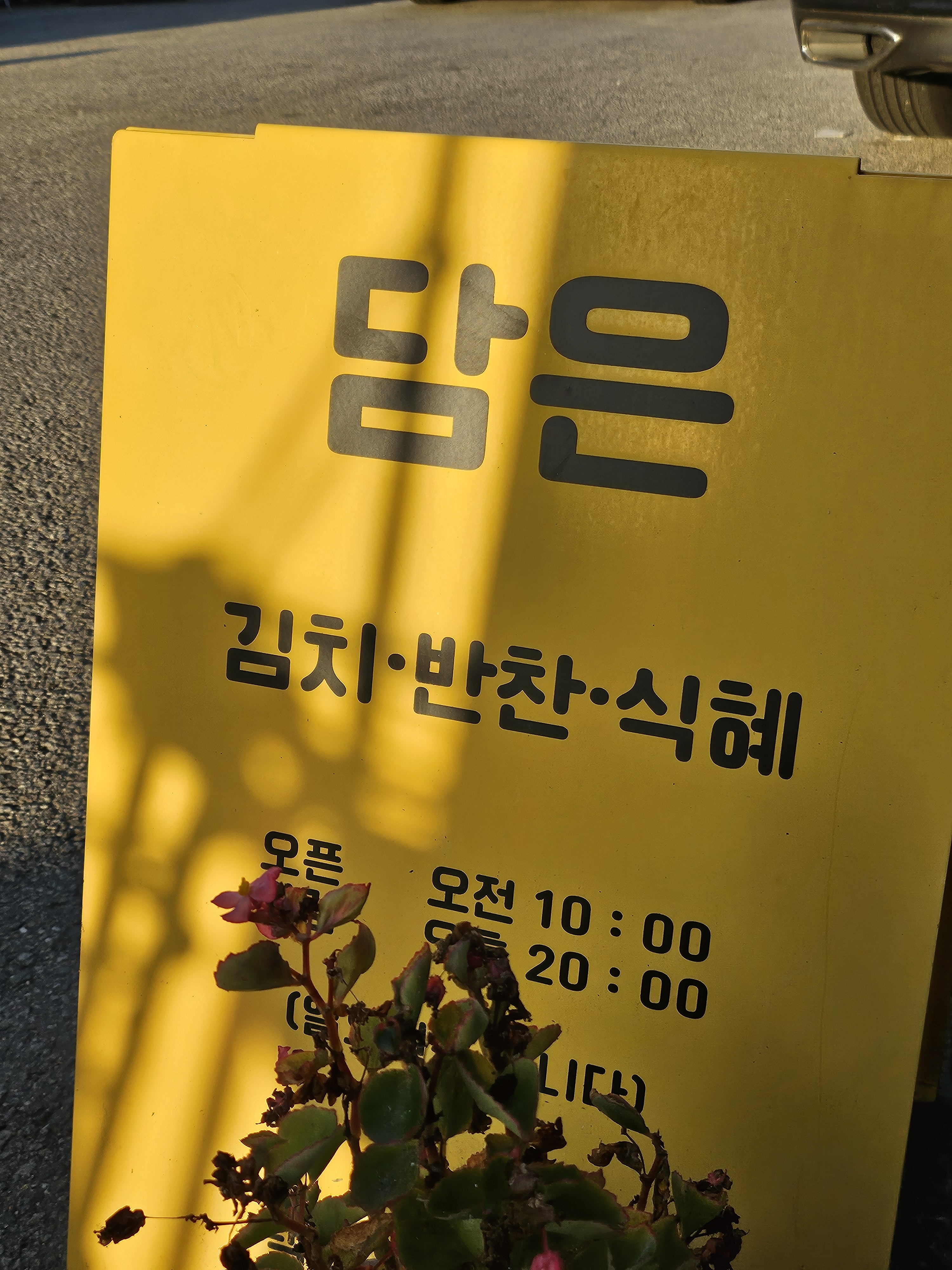 담은