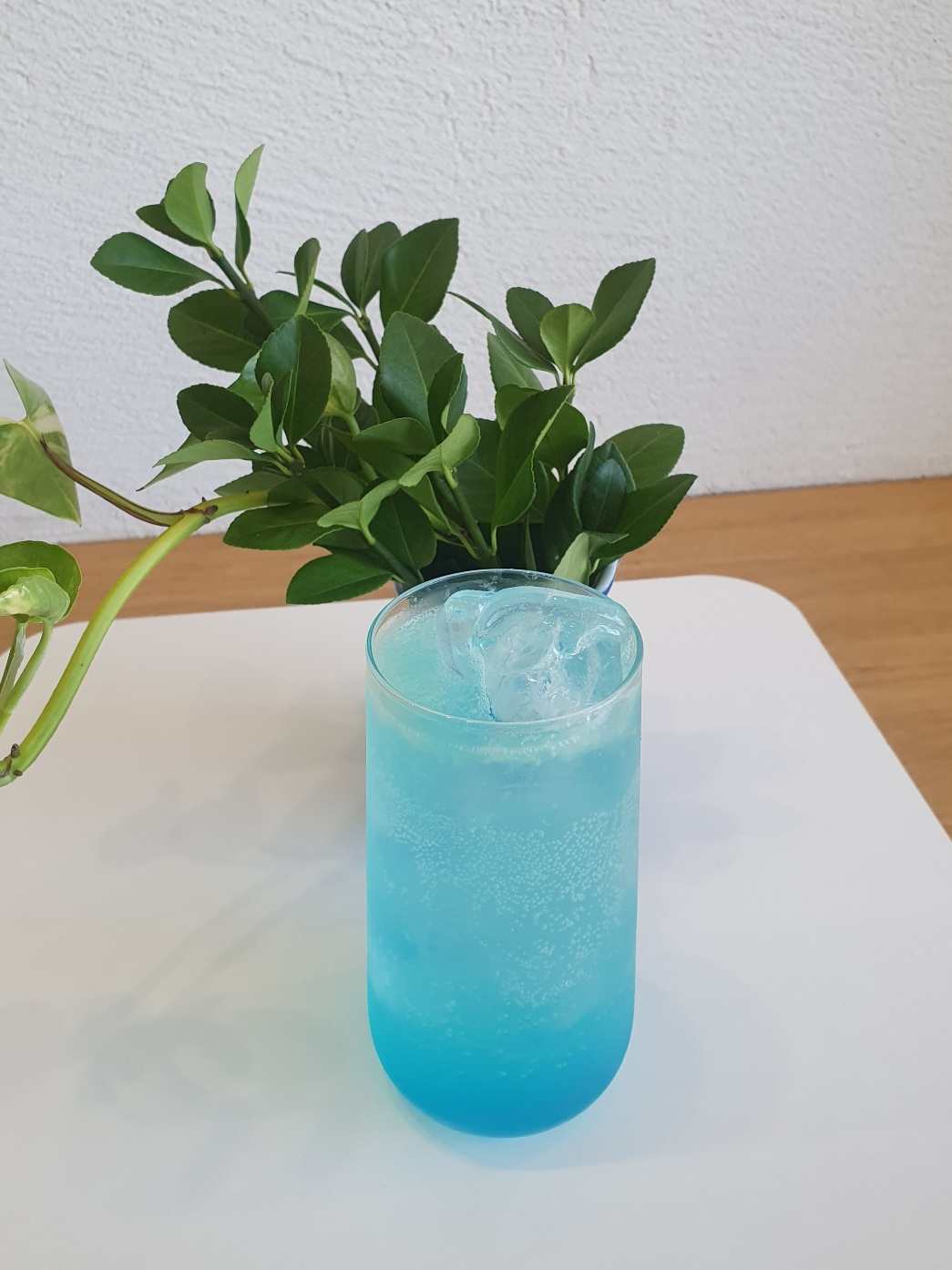 도씨커피