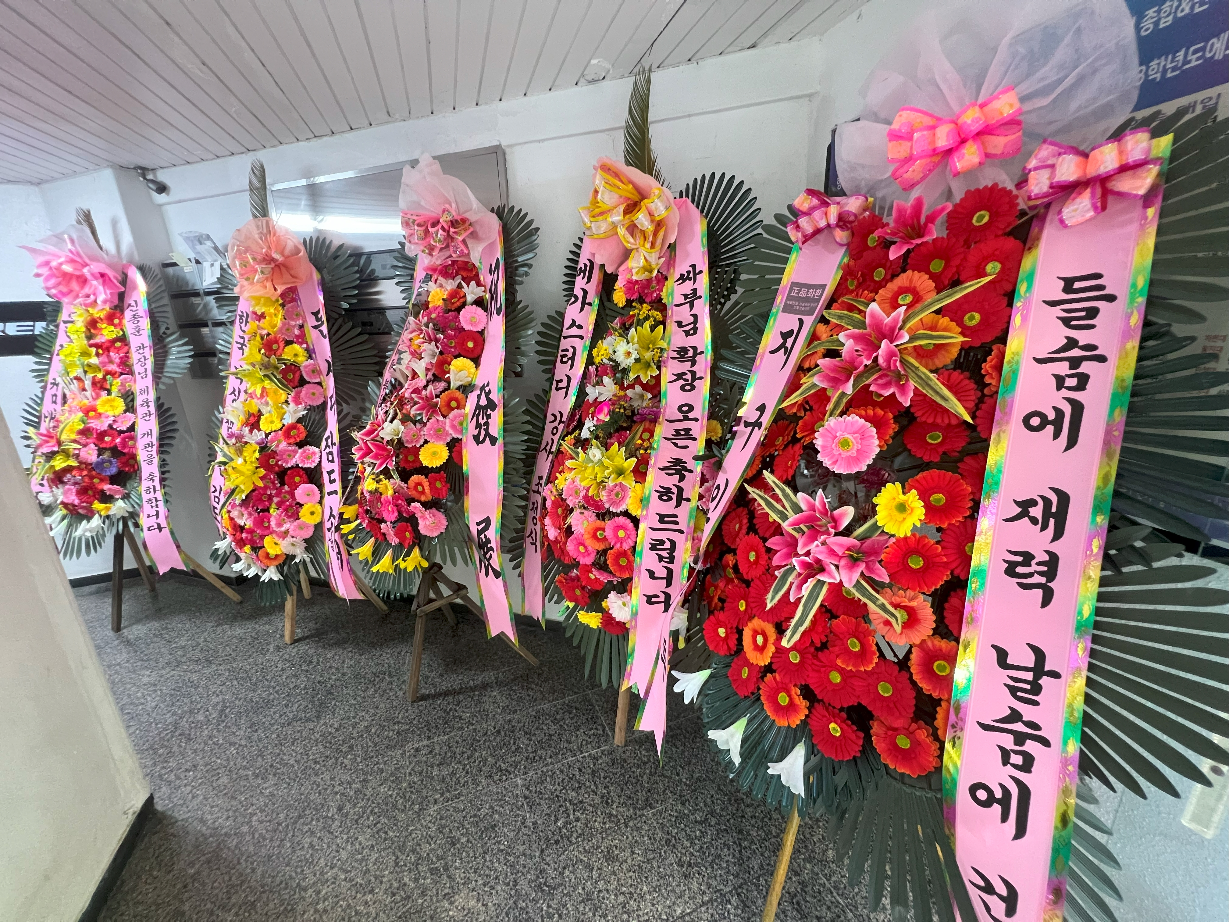 서울 광진구 뚝섬로 복싱체육관 신종훈 국가대표 복싱센터 내부 모습 5