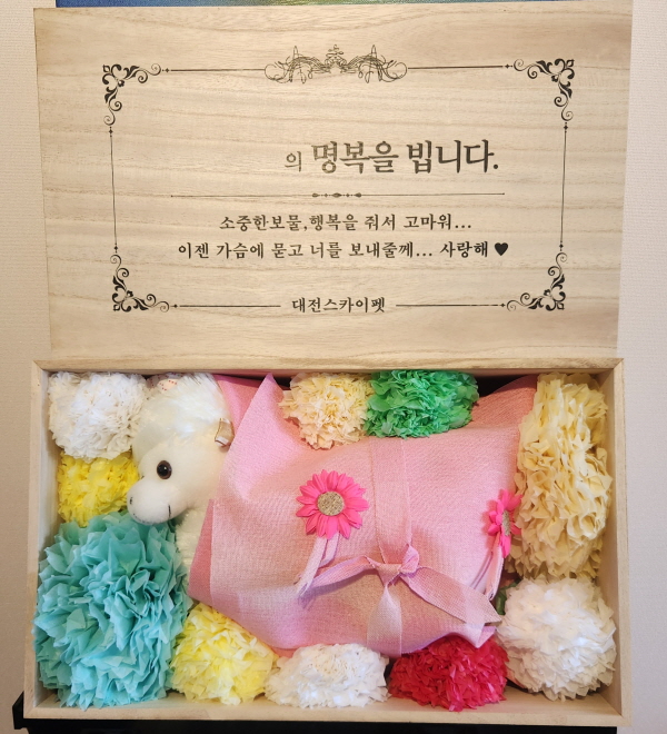 대전스카이팻