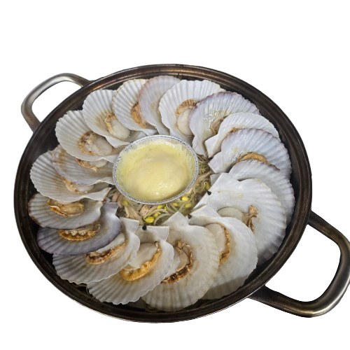 해담이선생