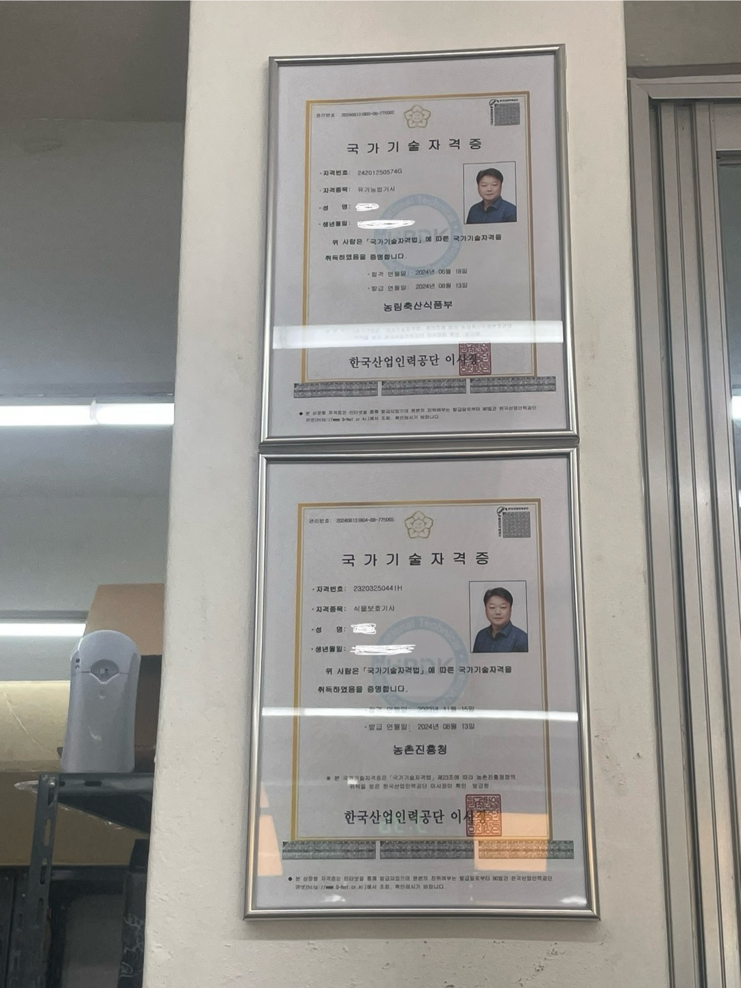 반야월 농약종묘사