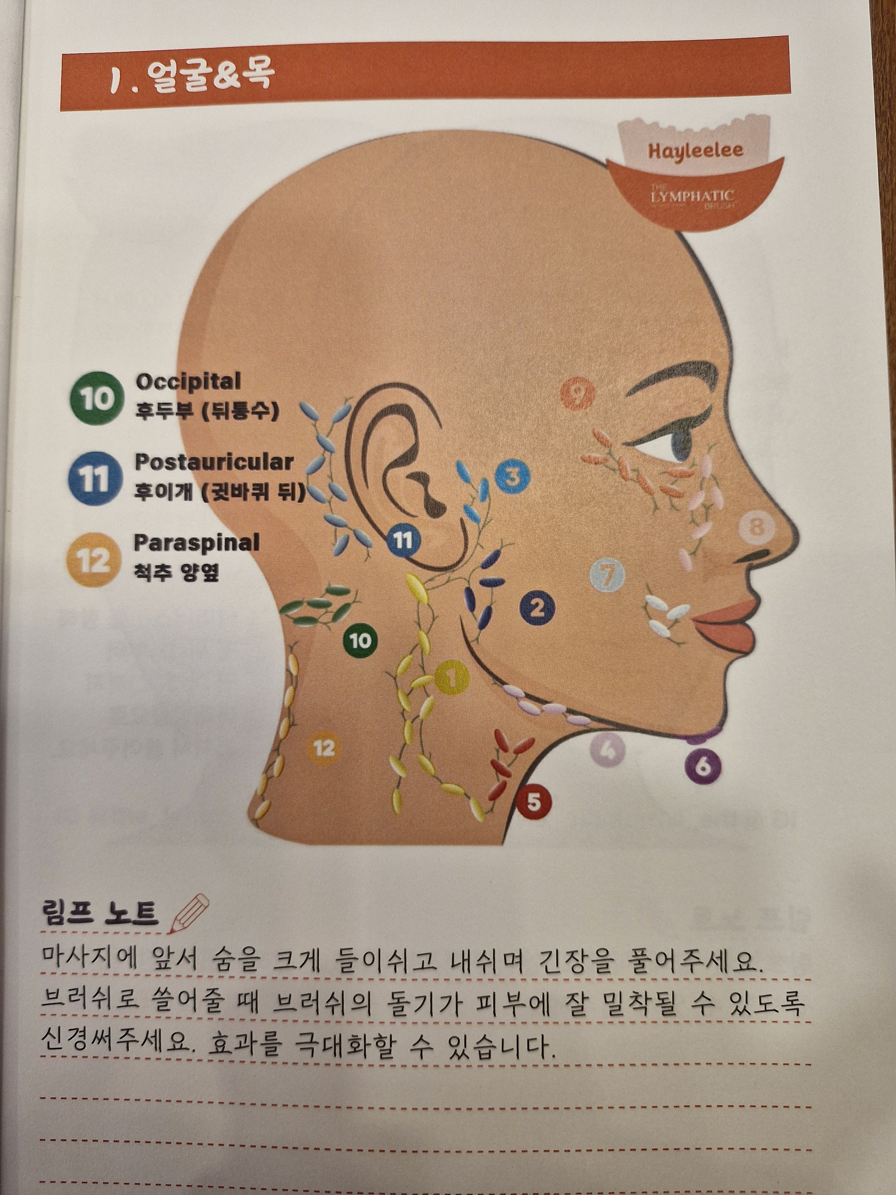 프라나 림프순환 연구소 photo 10