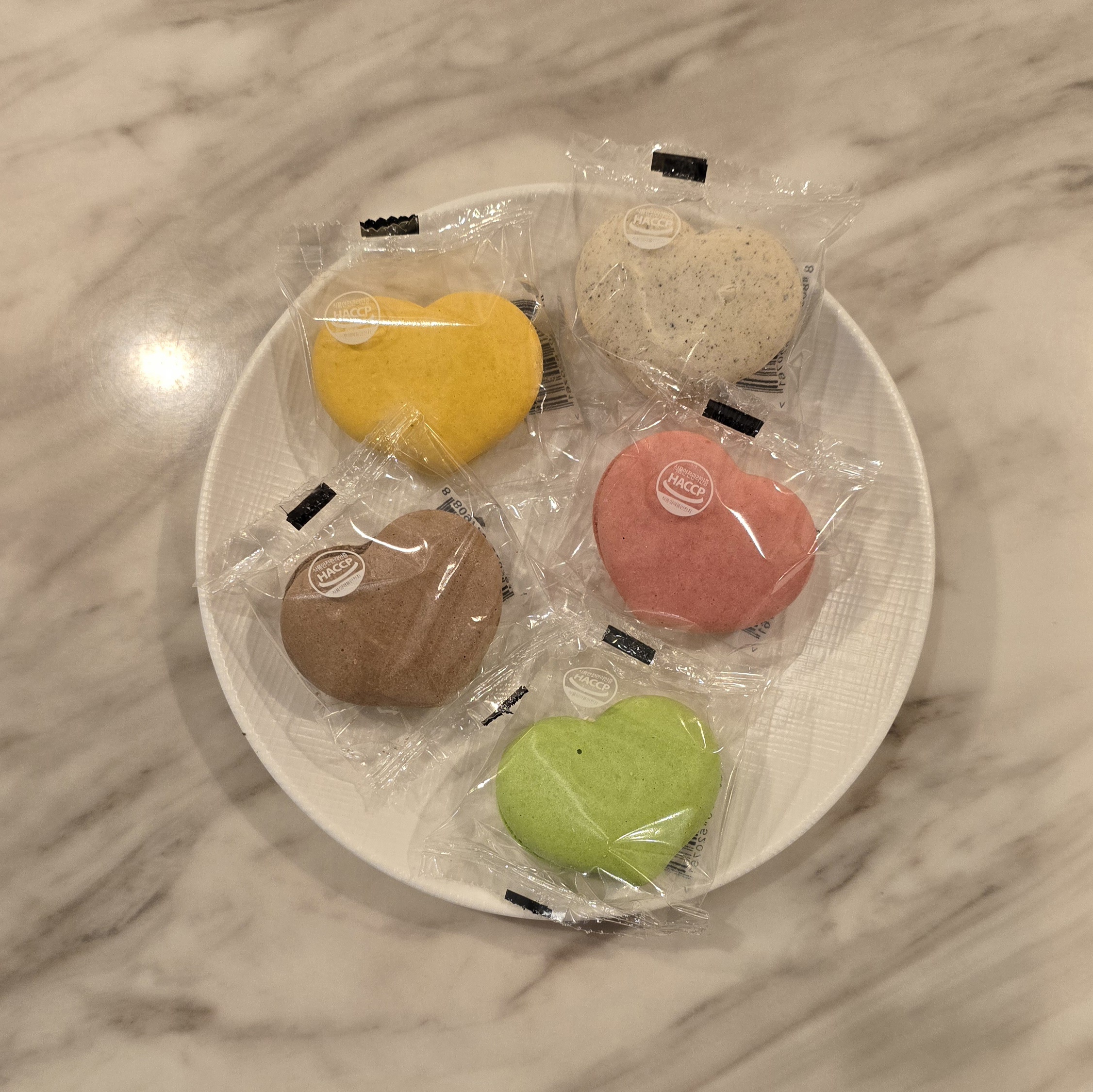 더리터 봉화점 경상 애견맛집