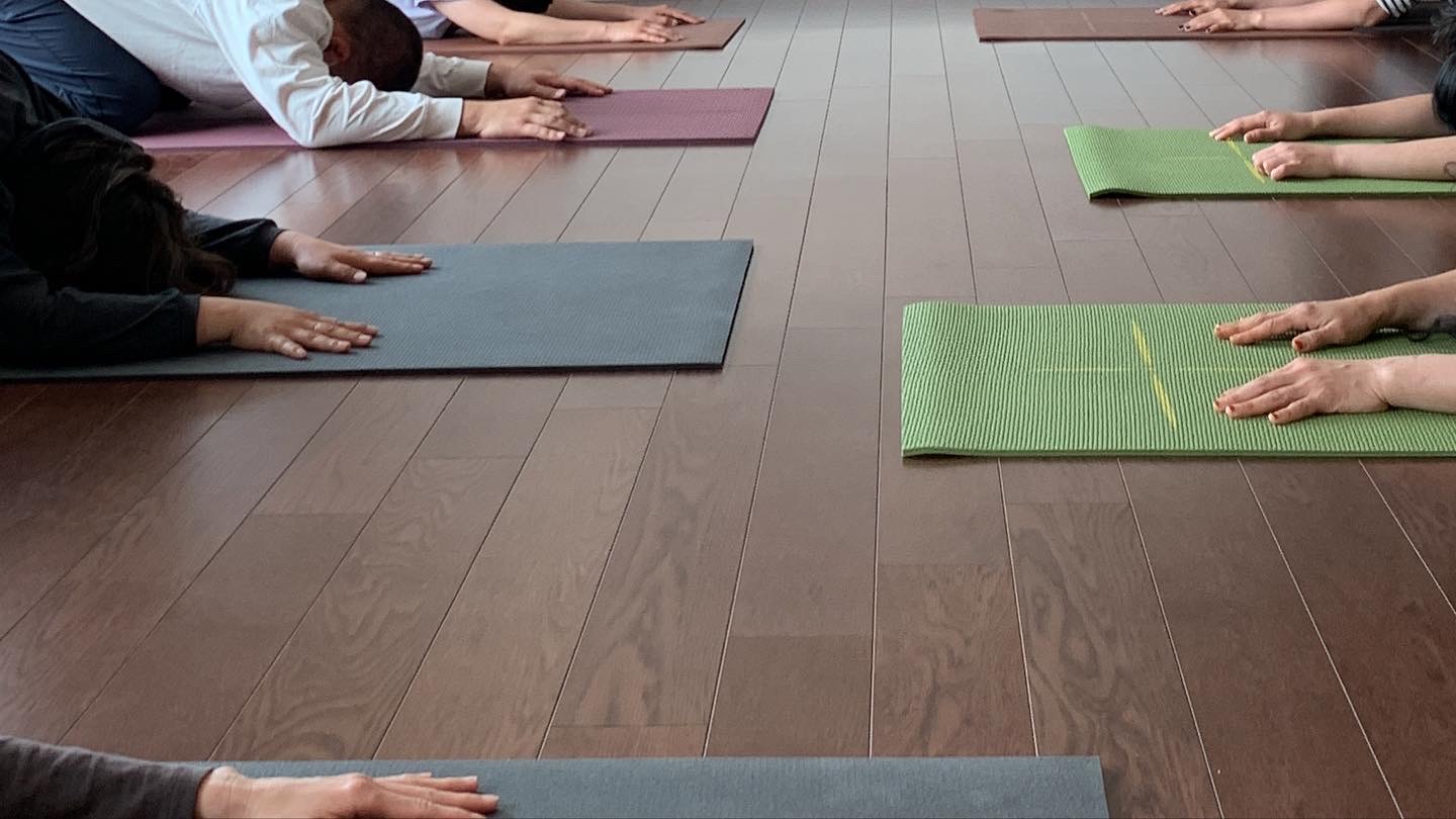 웃디야나 요가 대표 이미지