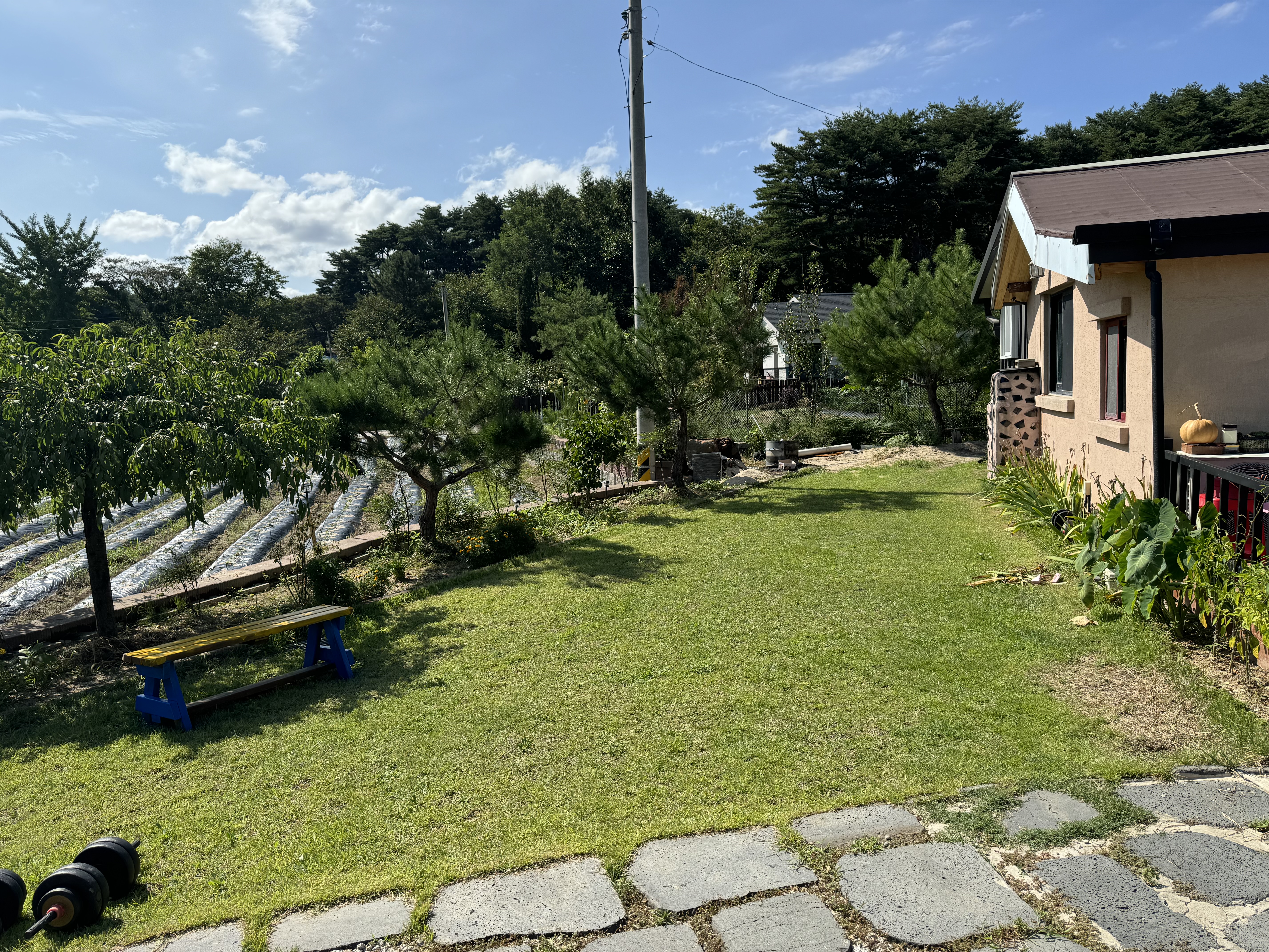 만두네촌집 대표 이미지