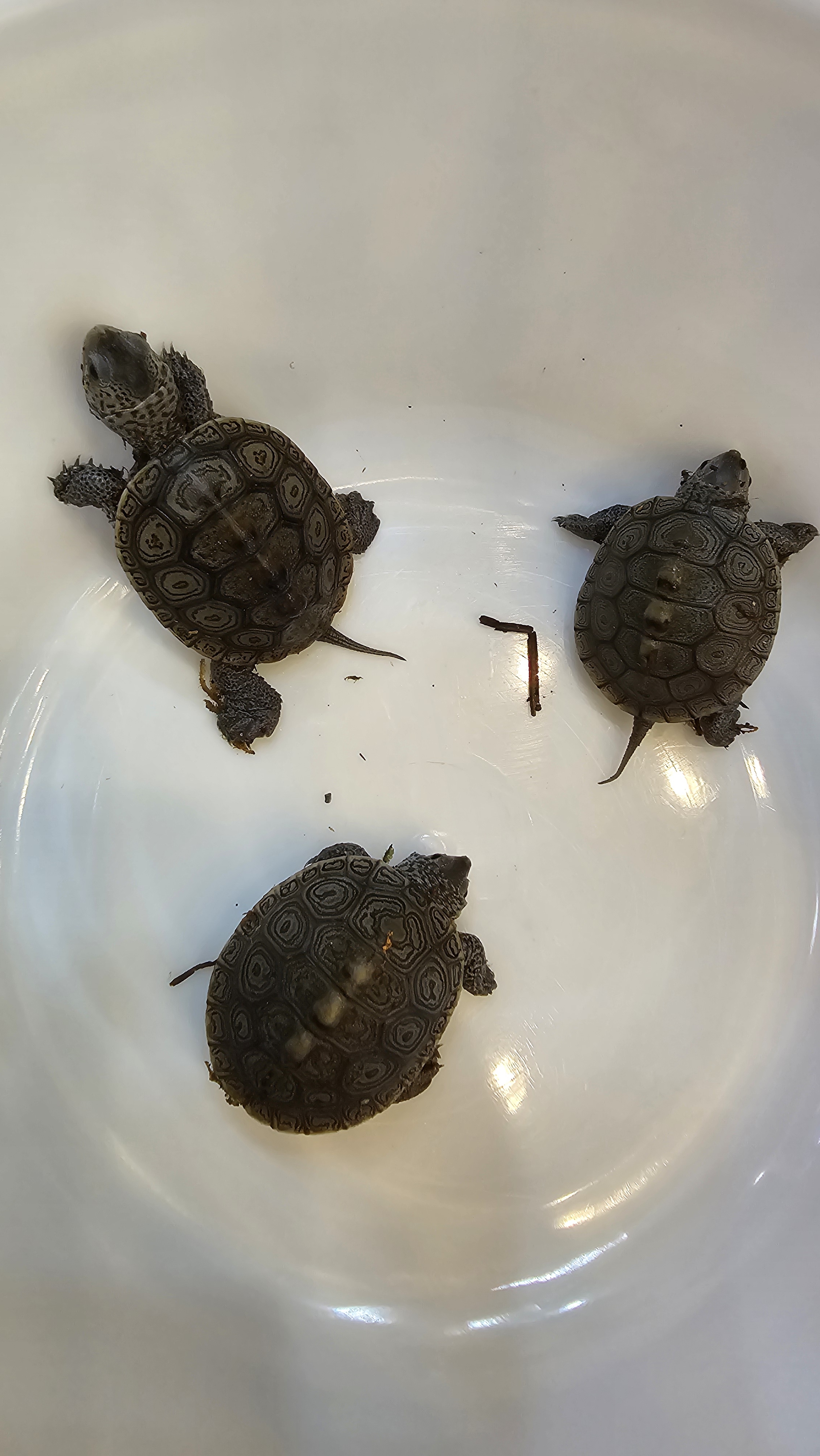 청주 더팜 수족관