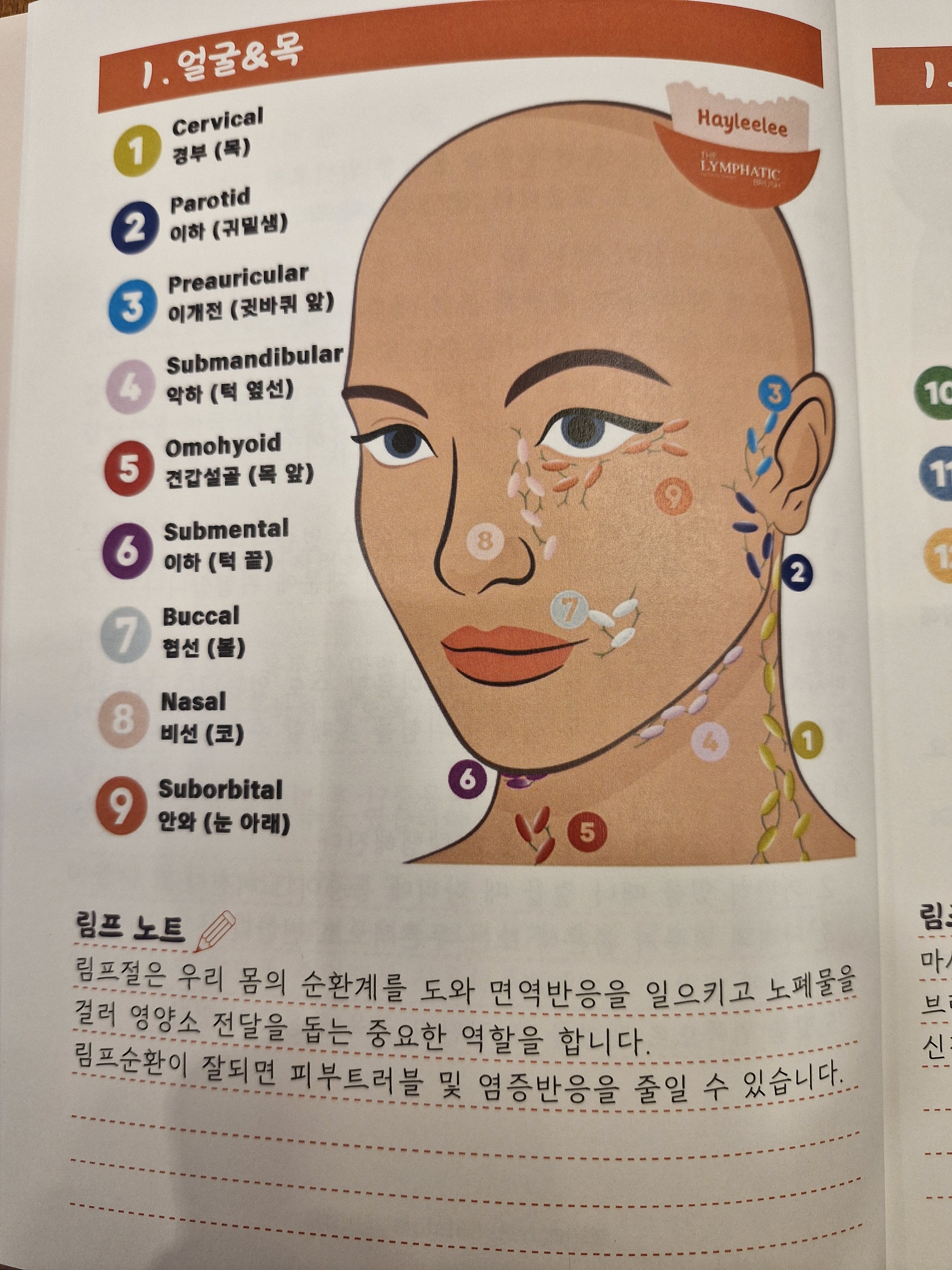 프라나 림프순환 연구소 photo 9