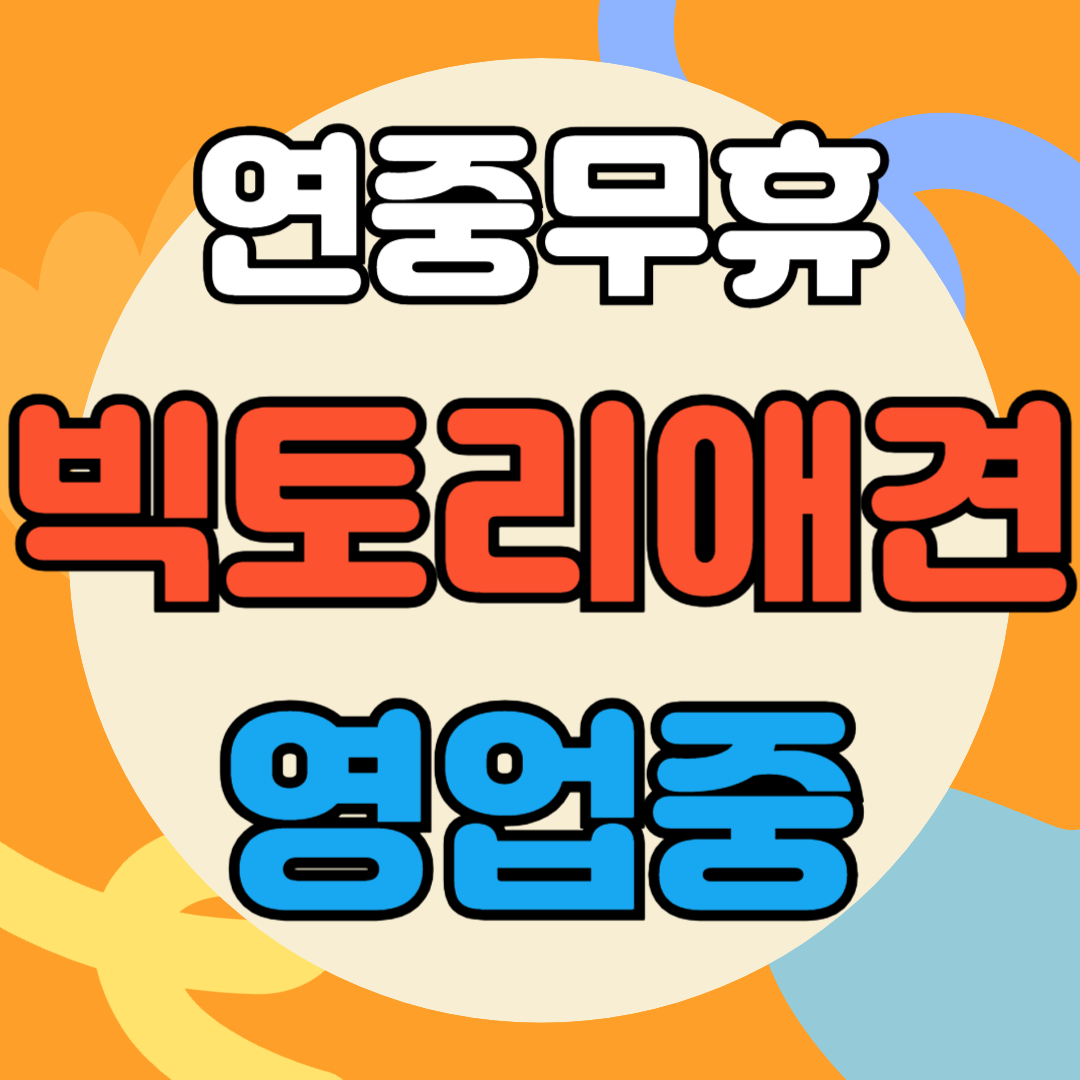 빅토리애견