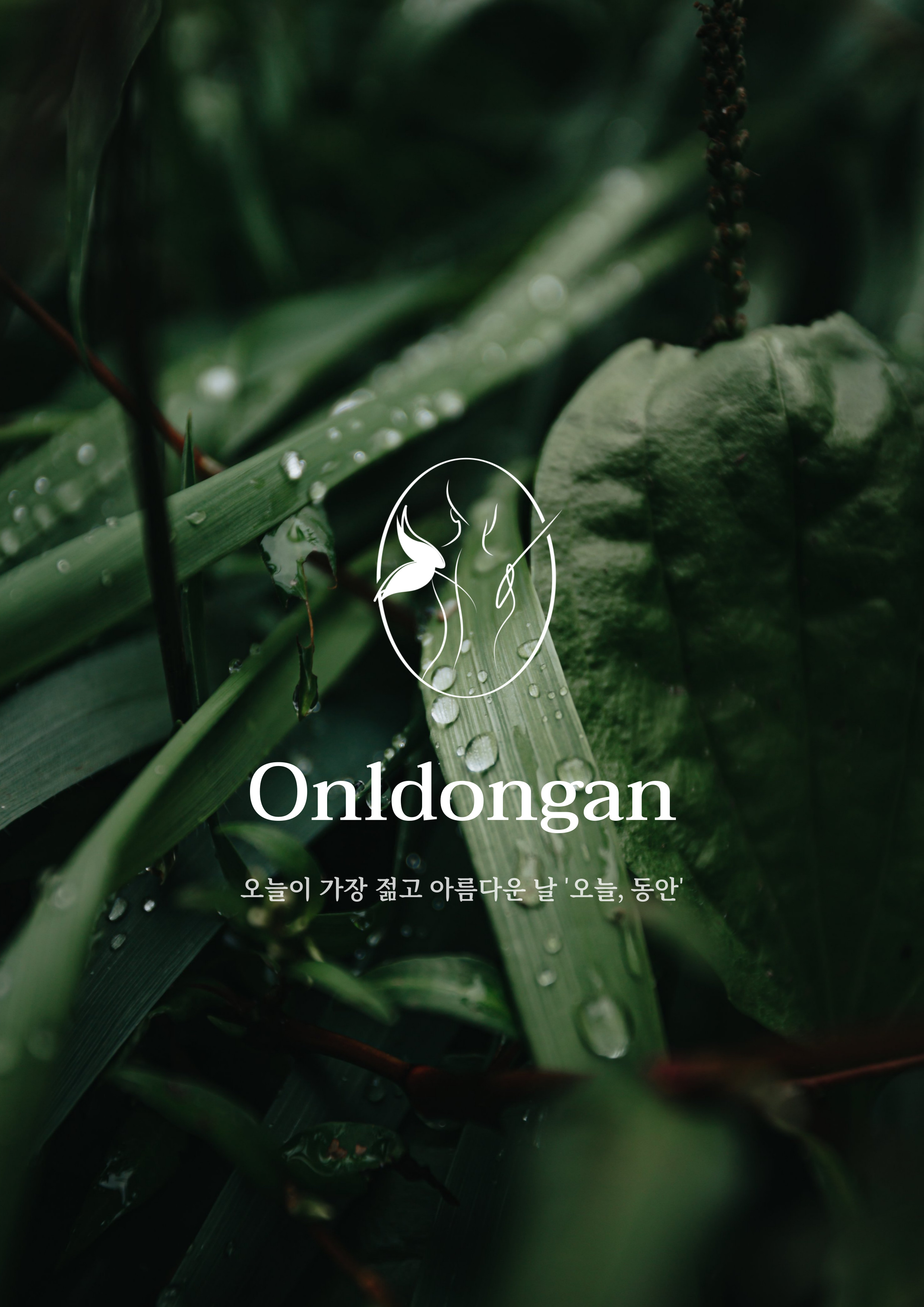 오늘, 동안 수원곡반정동점