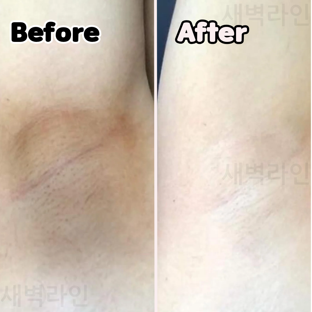 새벽라인 대표 이미지