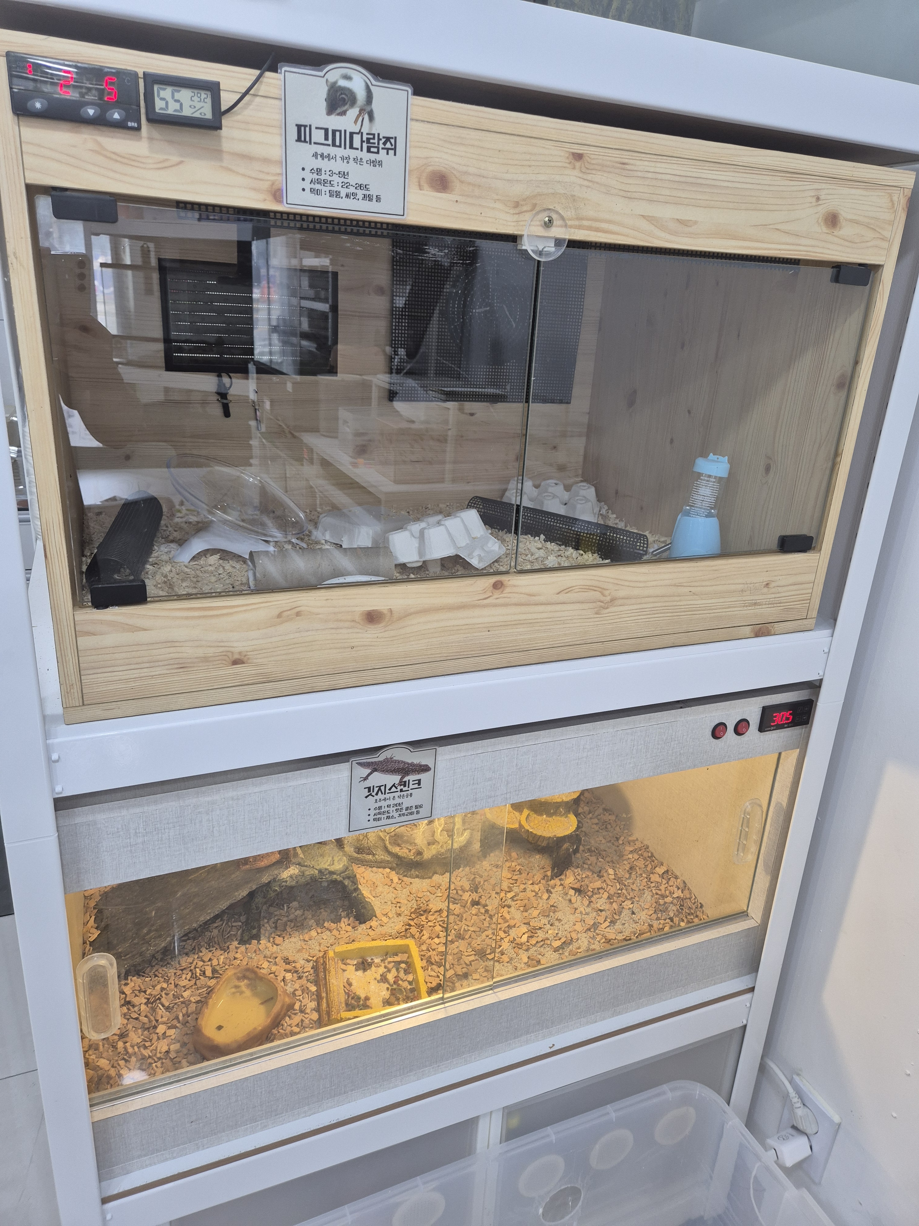 도마뱀놀이터 대표 이미지