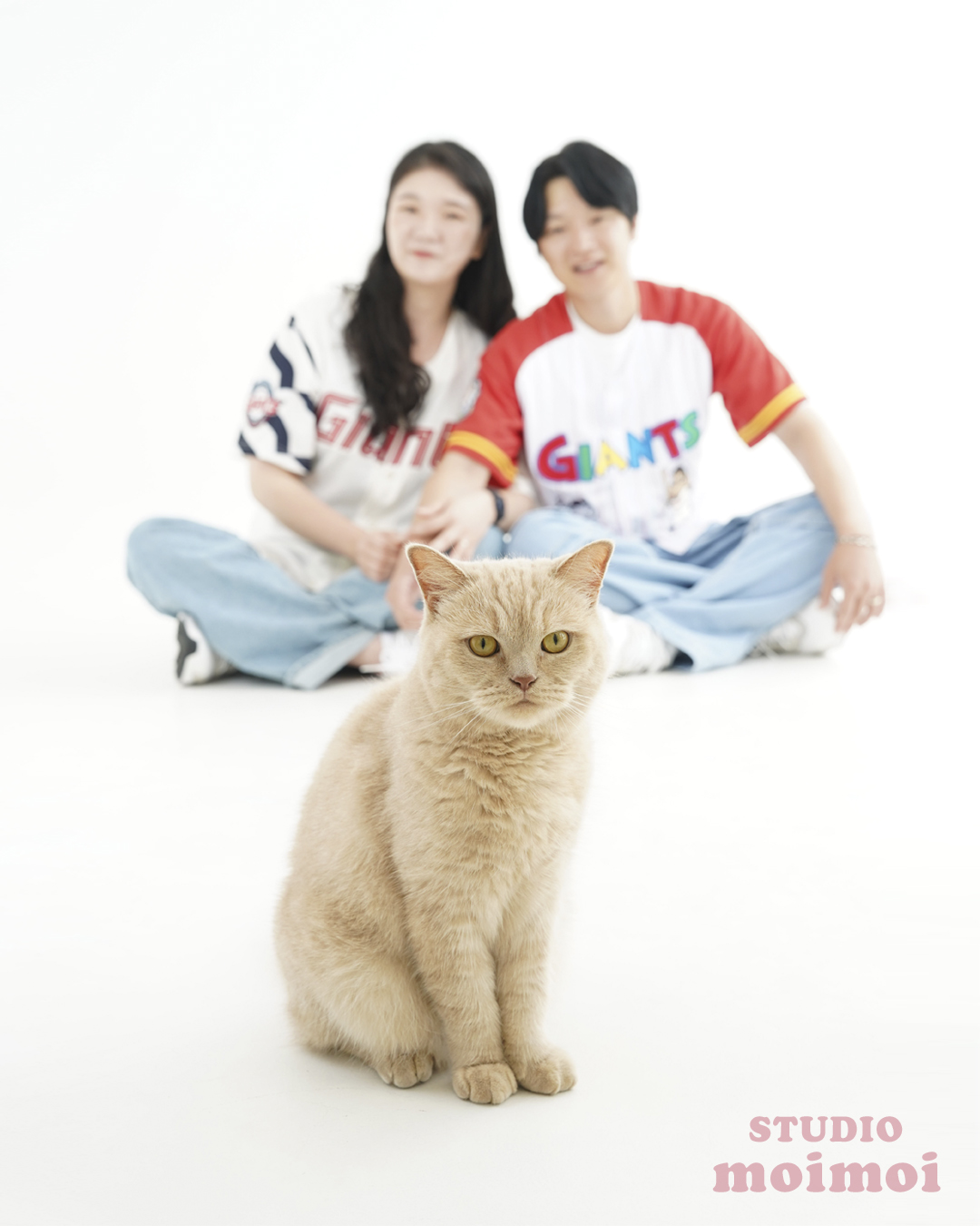 관평동 사진관 스튜디오 모이모이
