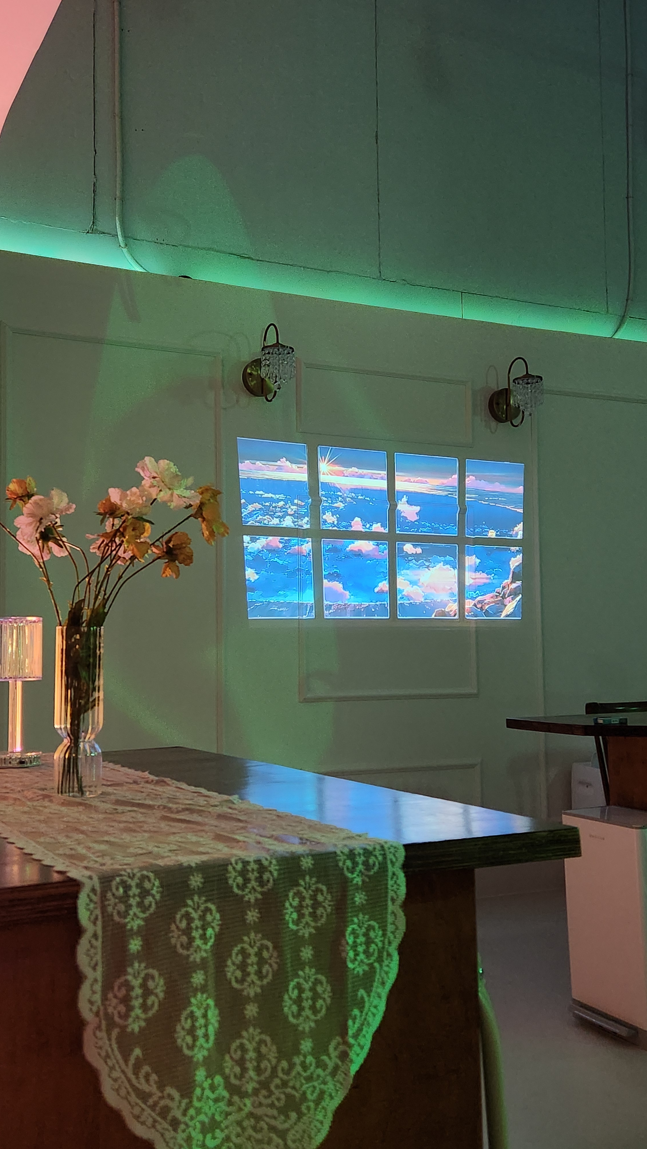 멍하는개냥 대표 이미지