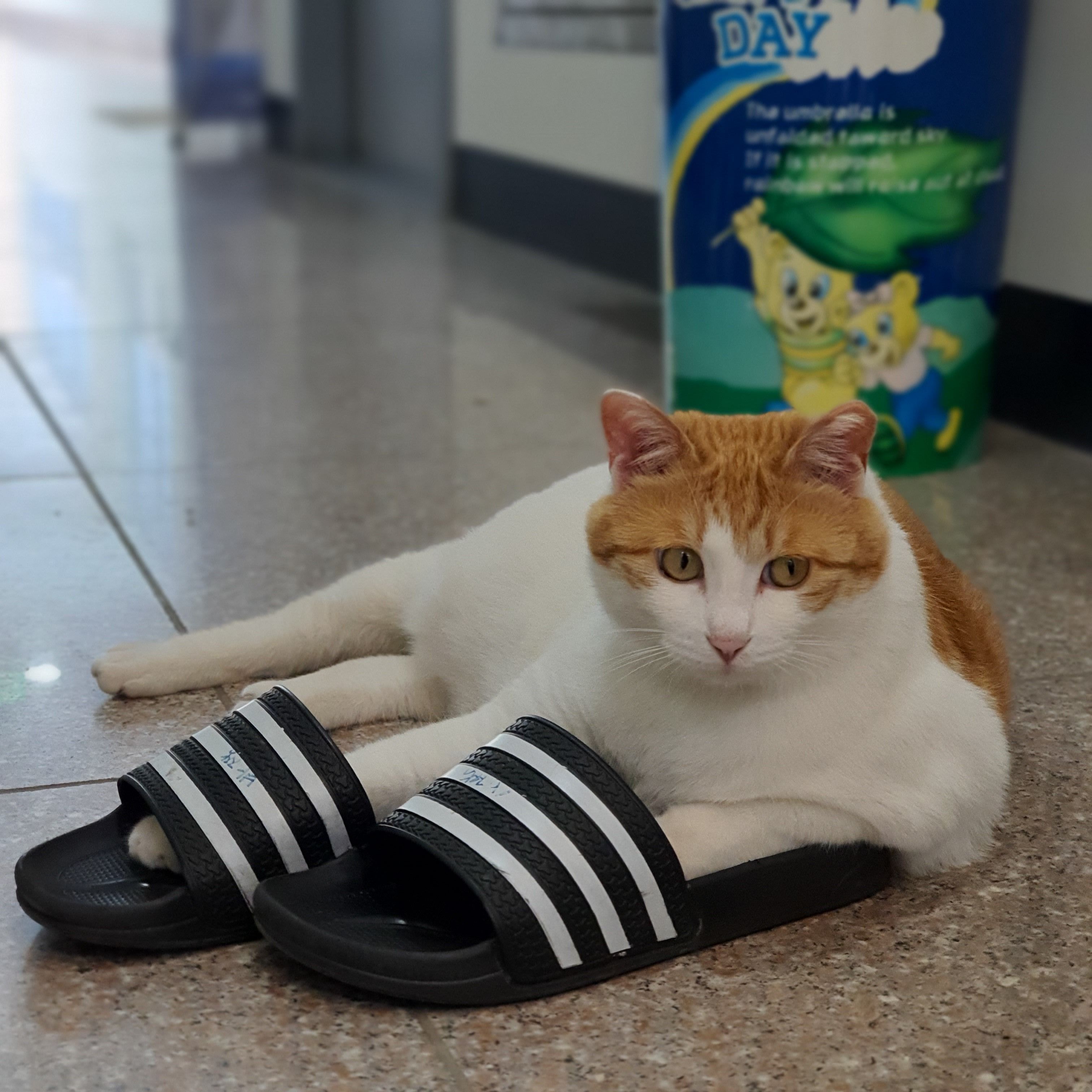 업체사진