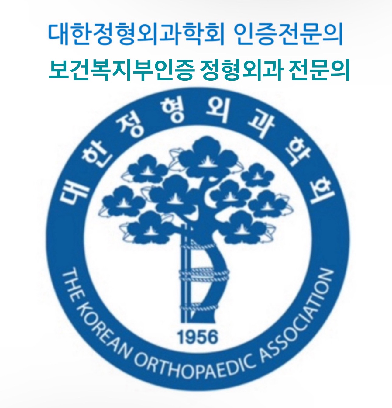 송파헬리오정형외과의원 내부 또는 관련 모습