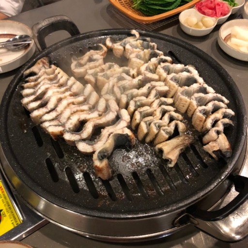 만력민물장어