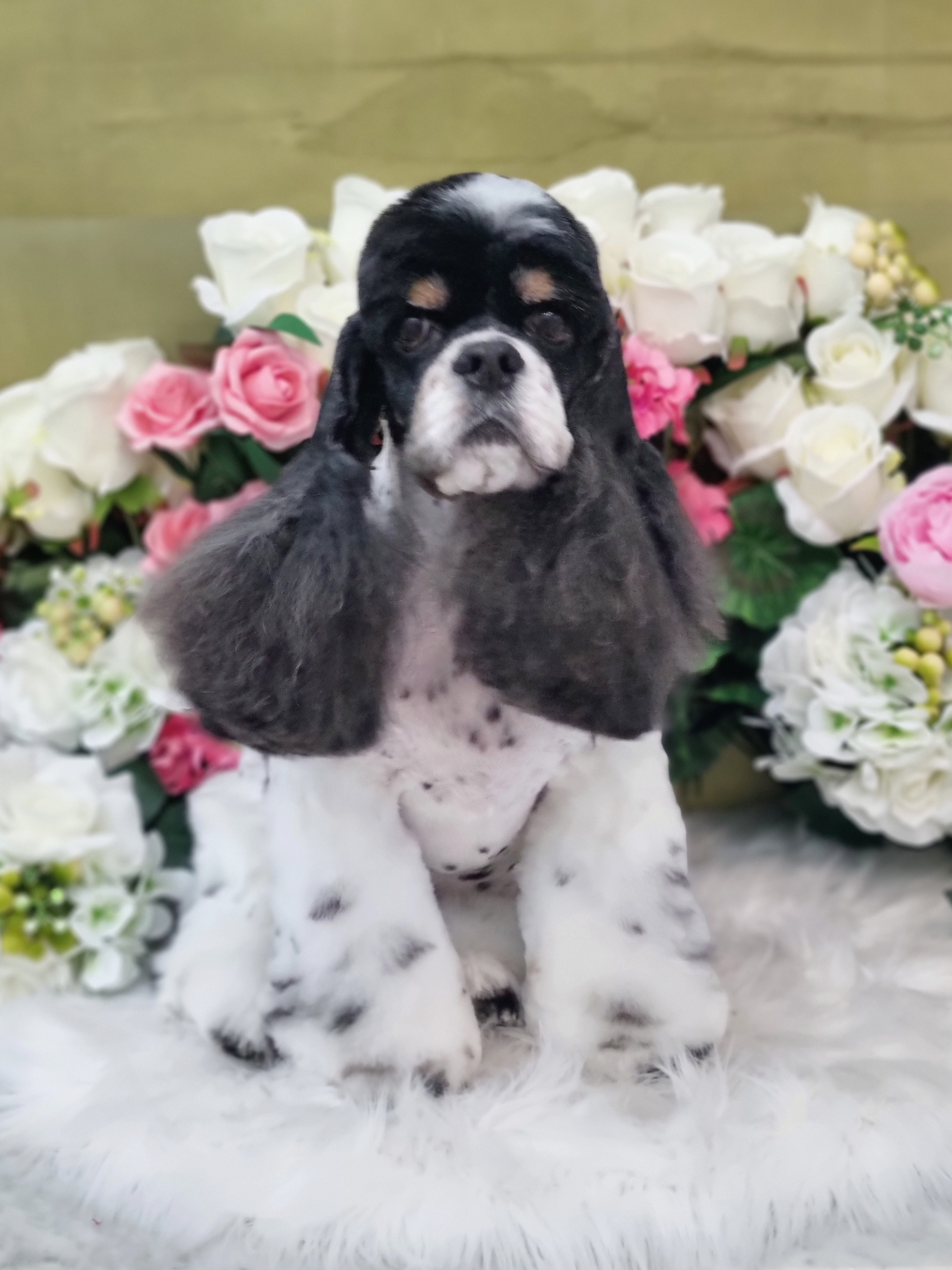 때빼고 광나개 대표 이미지